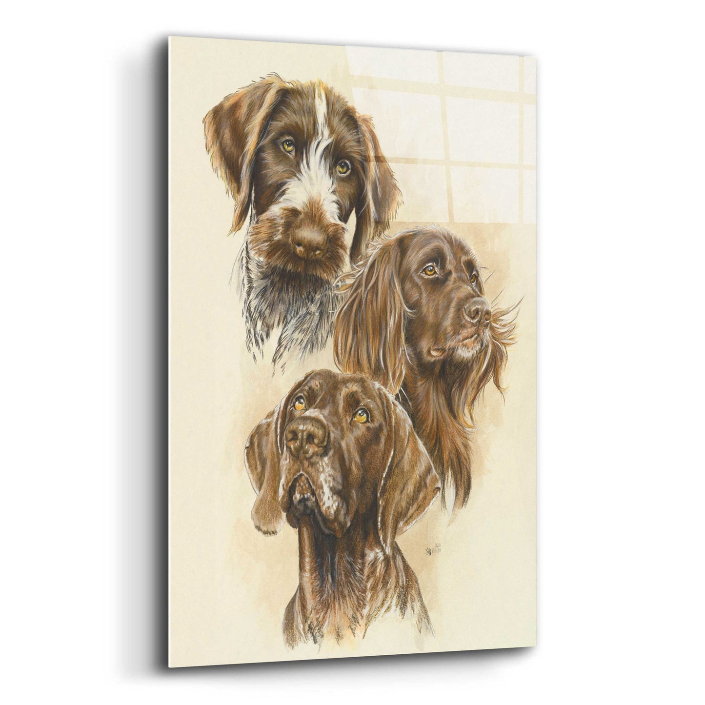 Epic Art 'German Pointers' by Barbara Keith, Acrylic Glass Wall Art,12x16