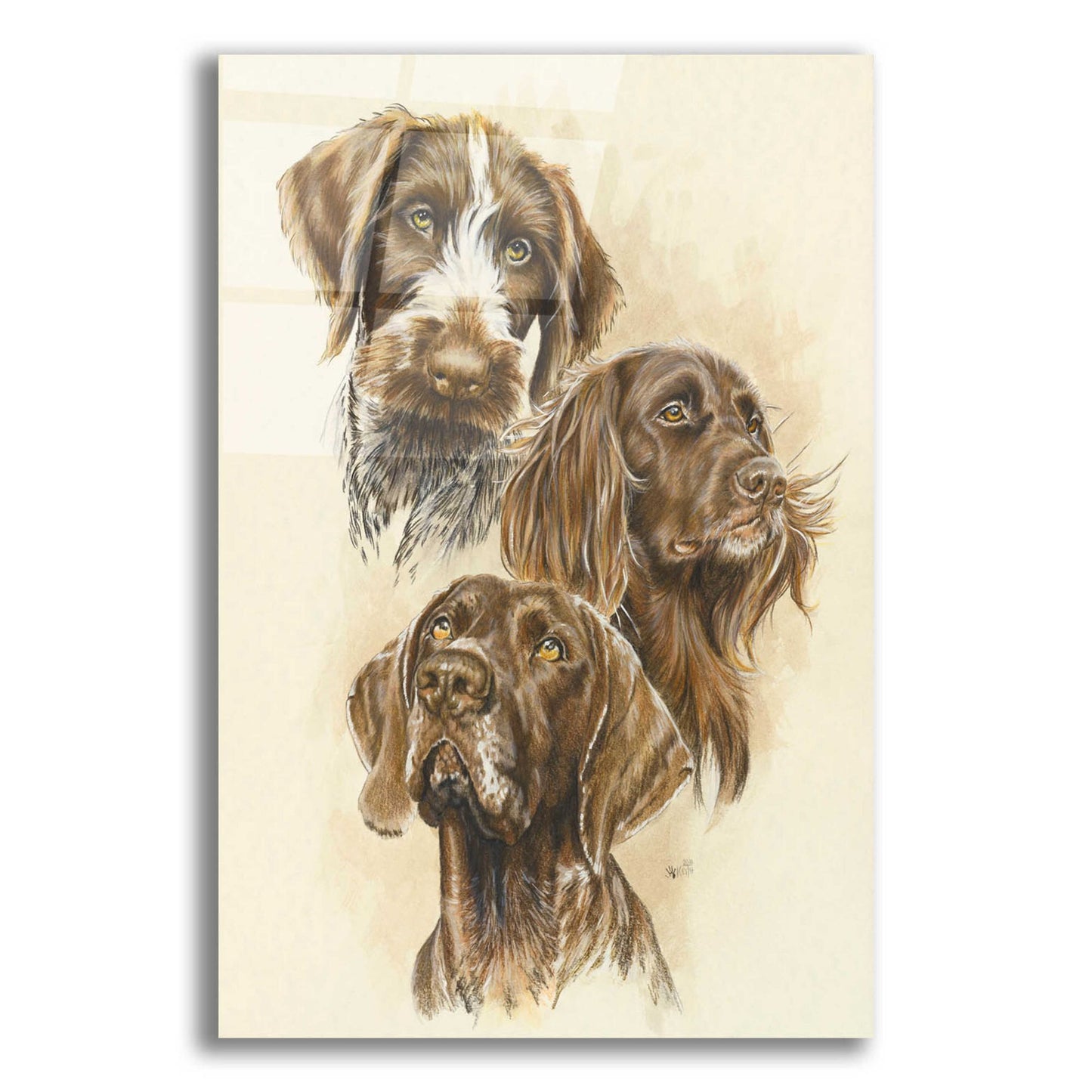 Epic Art 'German Pointers' by Barbara Keith, Acrylic Glass Wall Art,12x16