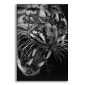 Epic Art 'Temper' by Barbara Keith, Acrylic Glass Wall Art