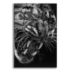 Epic Art 'Temper' by Barbara Keith, Acrylic Glass Wall Art