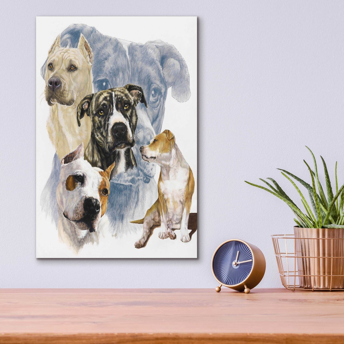 Epic Art 'American Staffordshire Terrier' by Barbara Keith, Acrylic Glass Wall Art,12x16