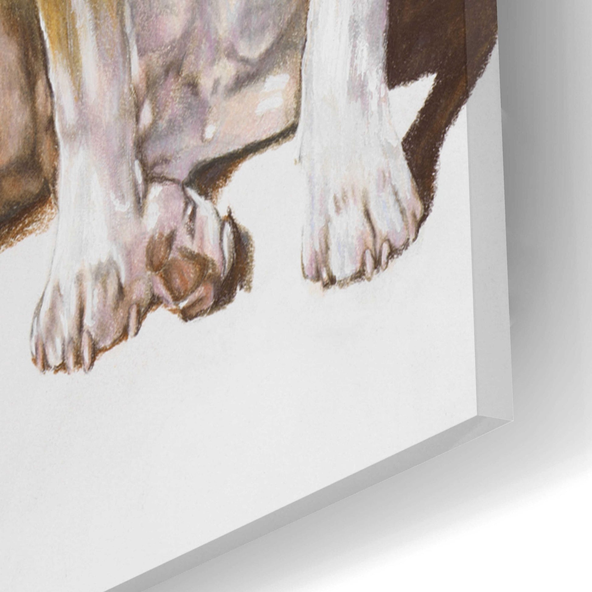 Epic Art 'American Staffordshire Terrier' by Barbara Keith, Acrylic Glass Wall Art,16x24