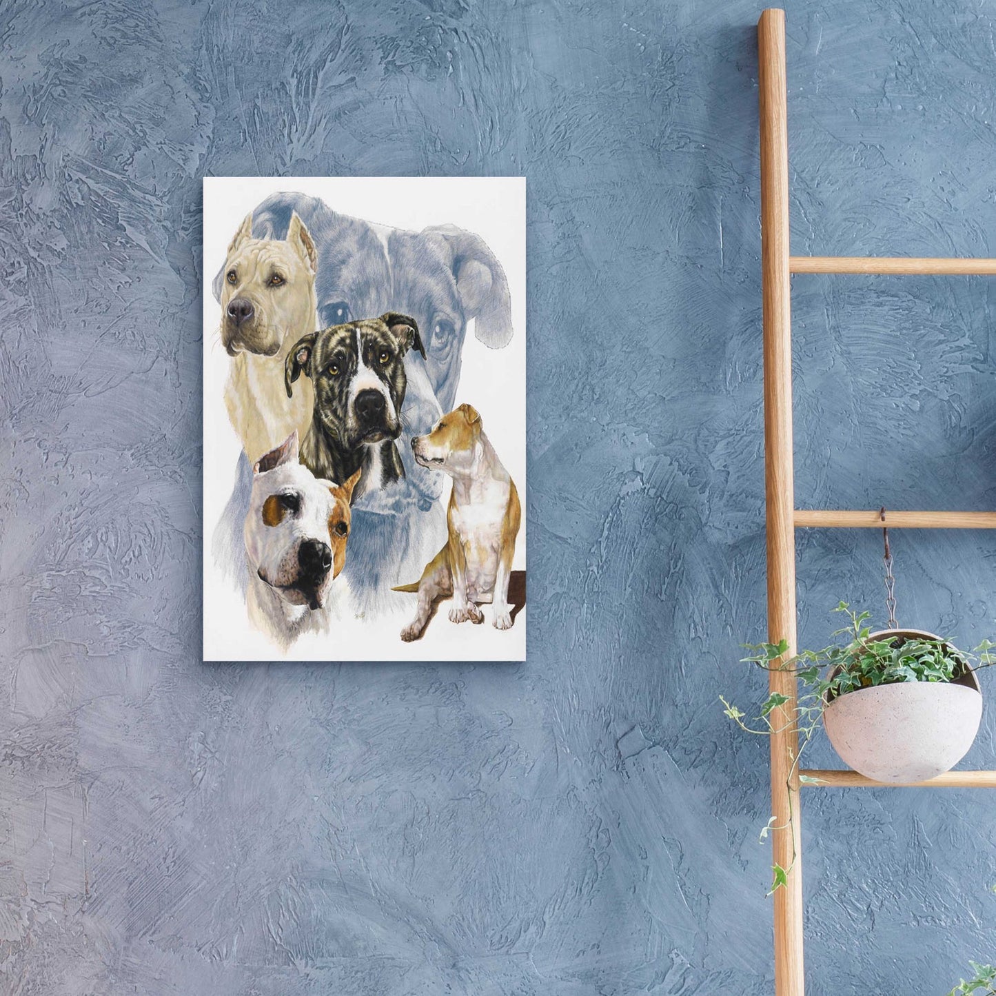 Epic Art 'American Staffordshire Terrier' by Barbara Keith, Acrylic Glass Wall Art,16x24