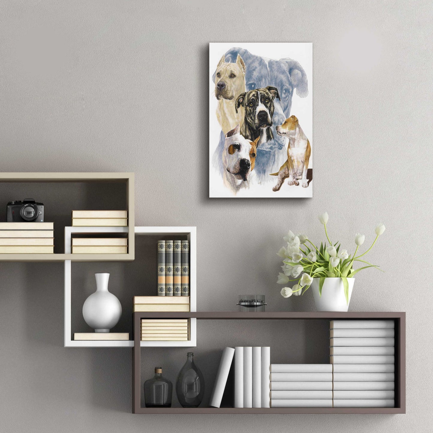 Epic Art 'American Staffordshire Terrier' by Barbara Keith, Acrylic Glass Wall Art,16x24