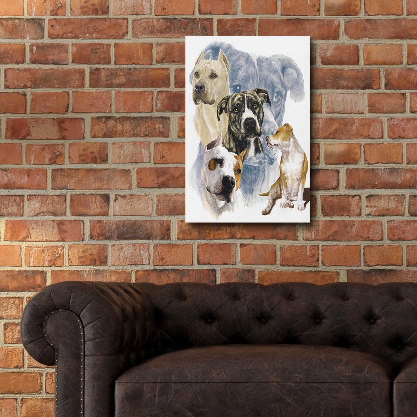 Epic Art 'American Staffordshire Terrier' by Barbara Keith, Acrylic Glass Wall Art,16x24