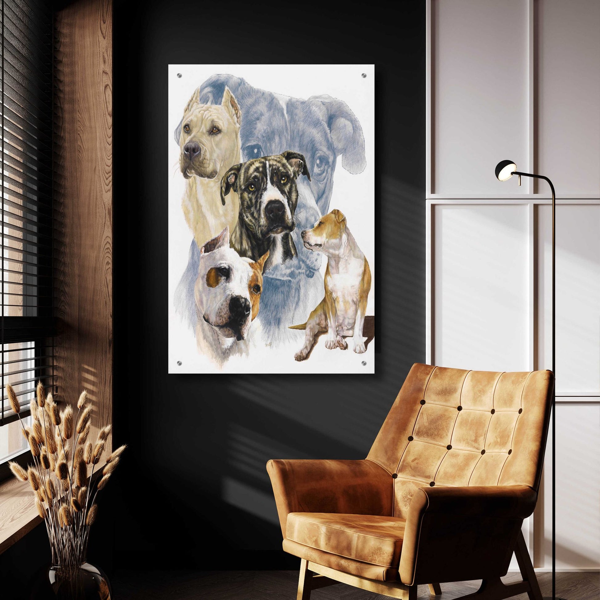 Epic Art 'American Staffordshire Terrier' by Barbara Keith, Acrylic Glass Wall Art,24x36