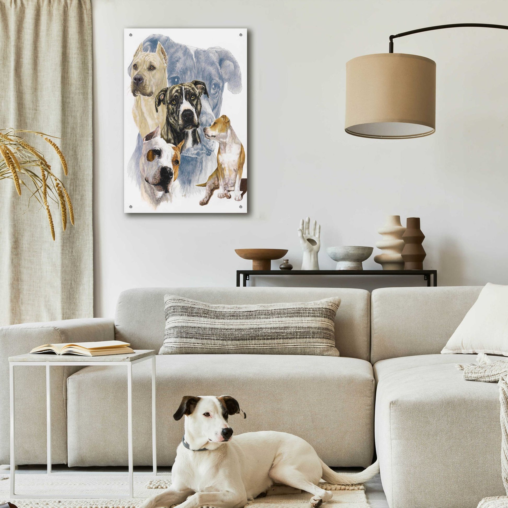 Epic Art 'American Staffordshire Terrier' by Barbara Keith, Acrylic Glass Wall Art,24x36