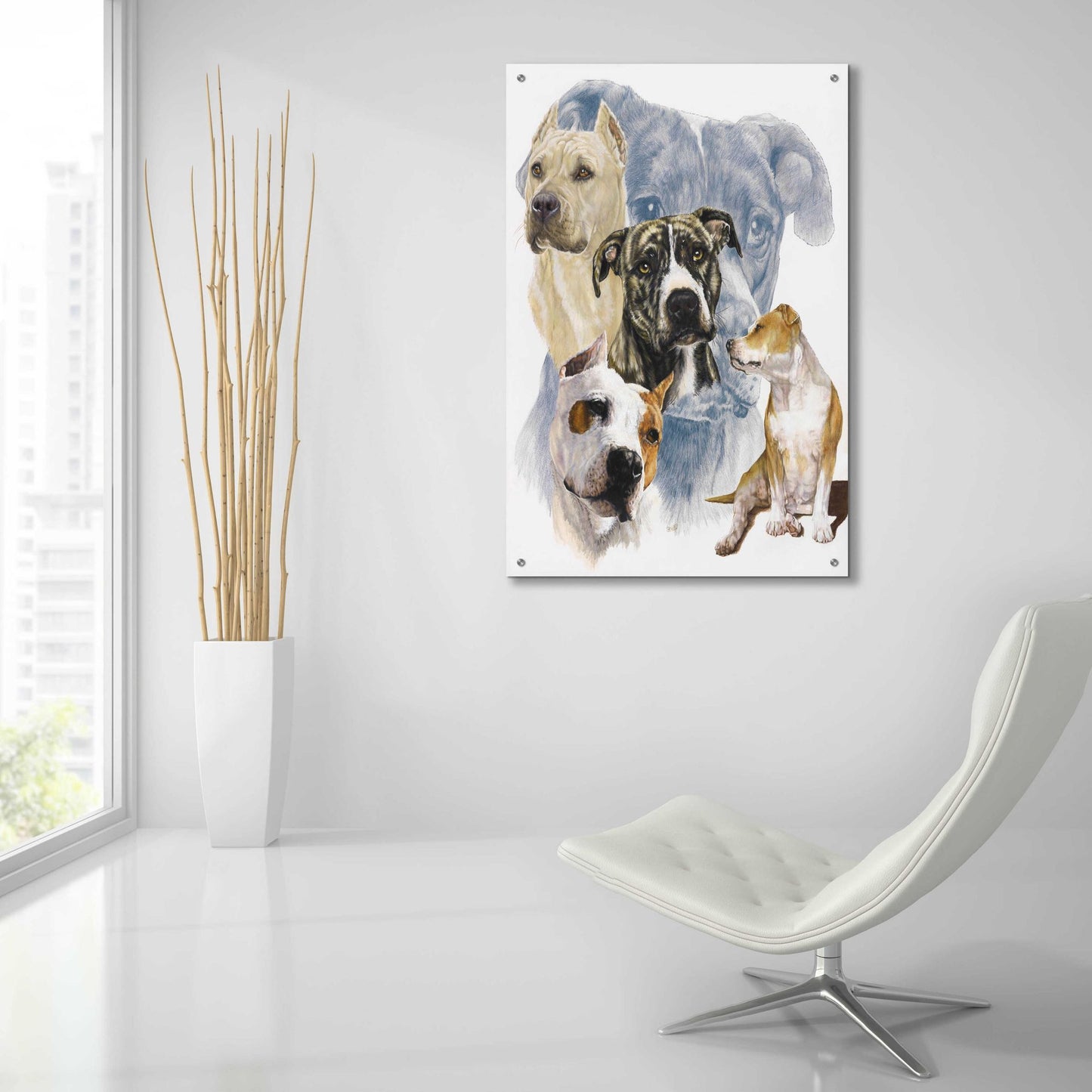 Epic Art 'American Staffordshire Terrier' by Barbara Keith, Acrylic Glass Wall Art,24x36