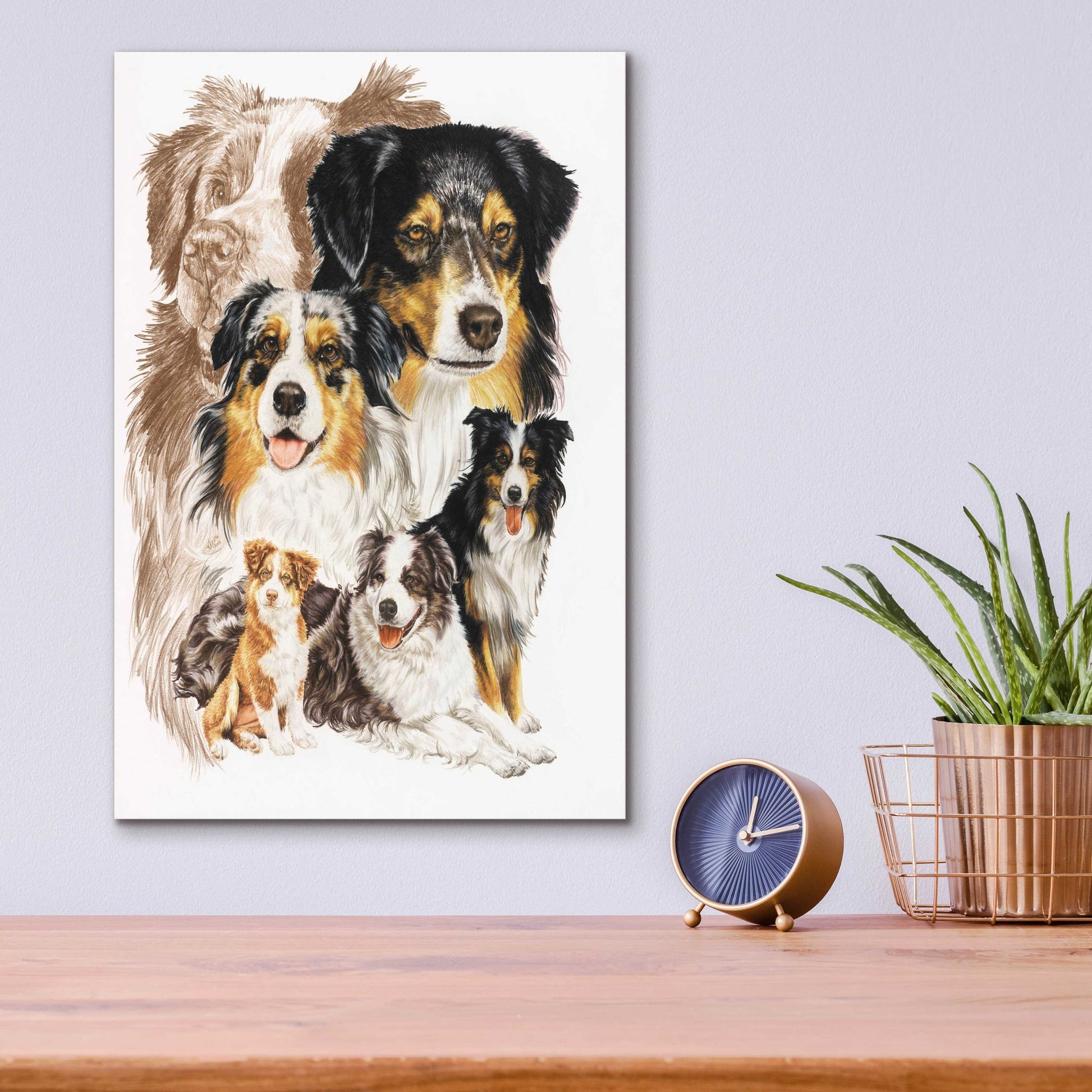 Epic Art 'Australian Shepherds' by Barbara Keith, Acrylic Glass Wall Art,12x16