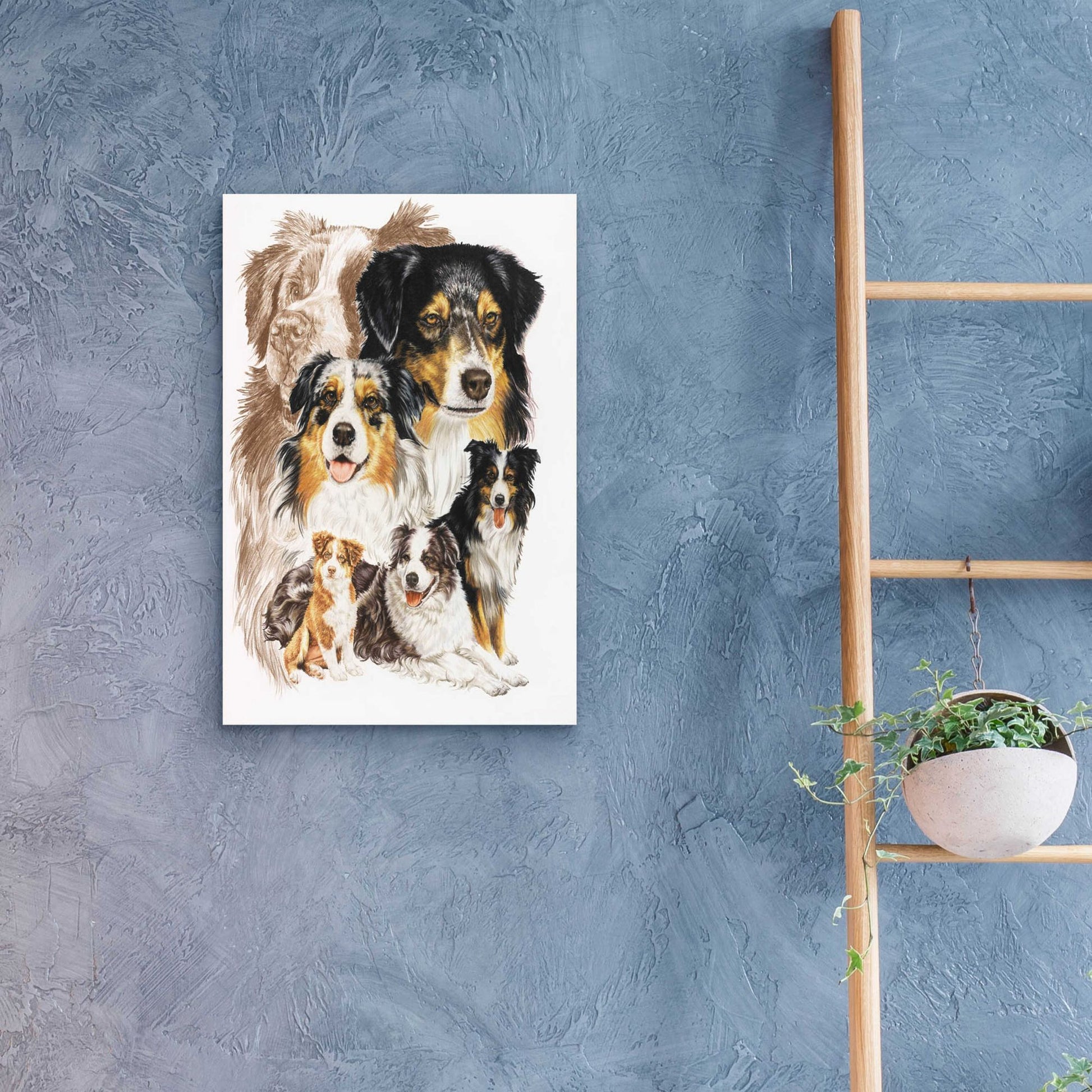 Epic Art 'Australian Shepherds' by Barbara Keith, Acrylic Glass Wall Art,16x24