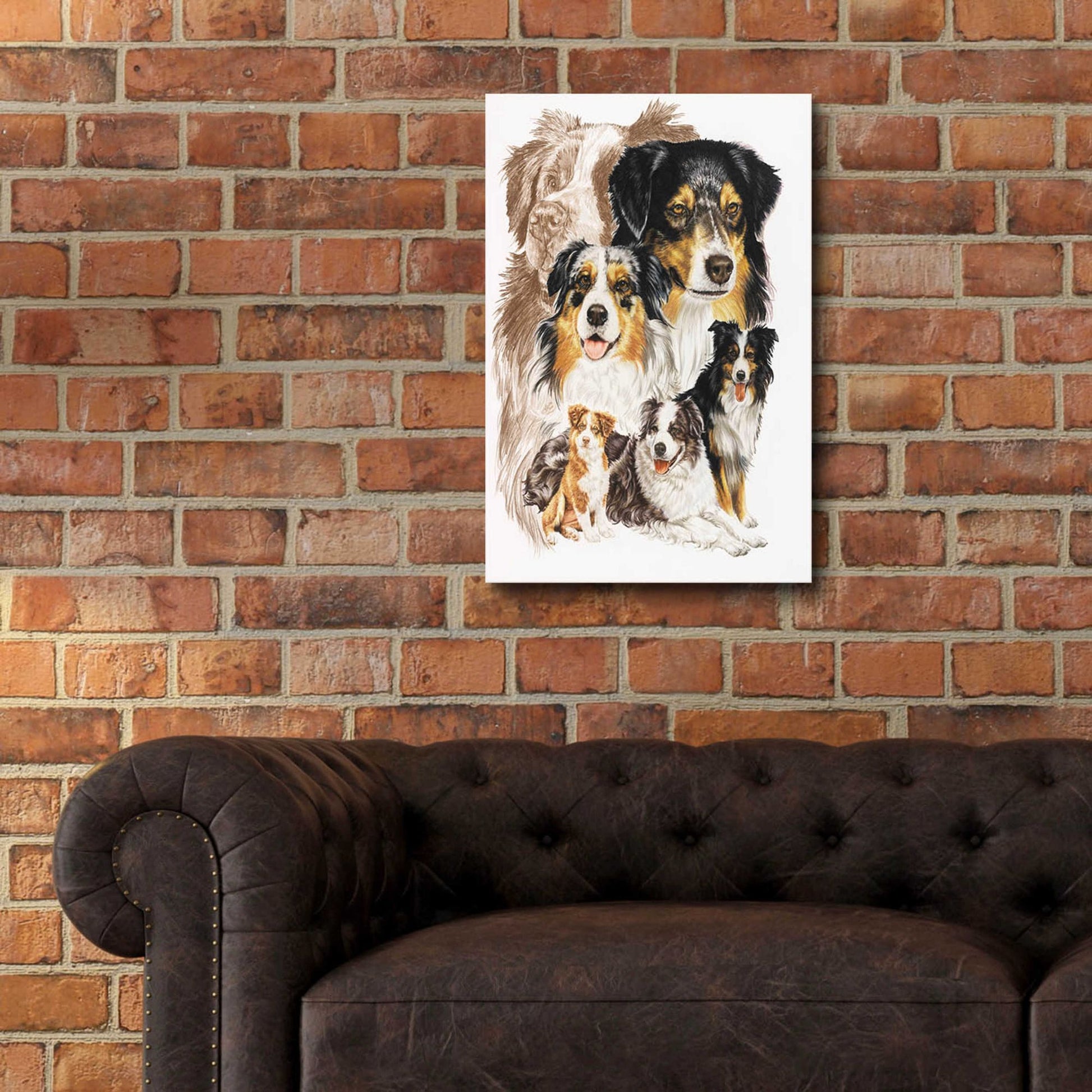 Epic Art 'Australian Shepherds' by Barbara Keith, Acrylic Glass Wall Art,16x24