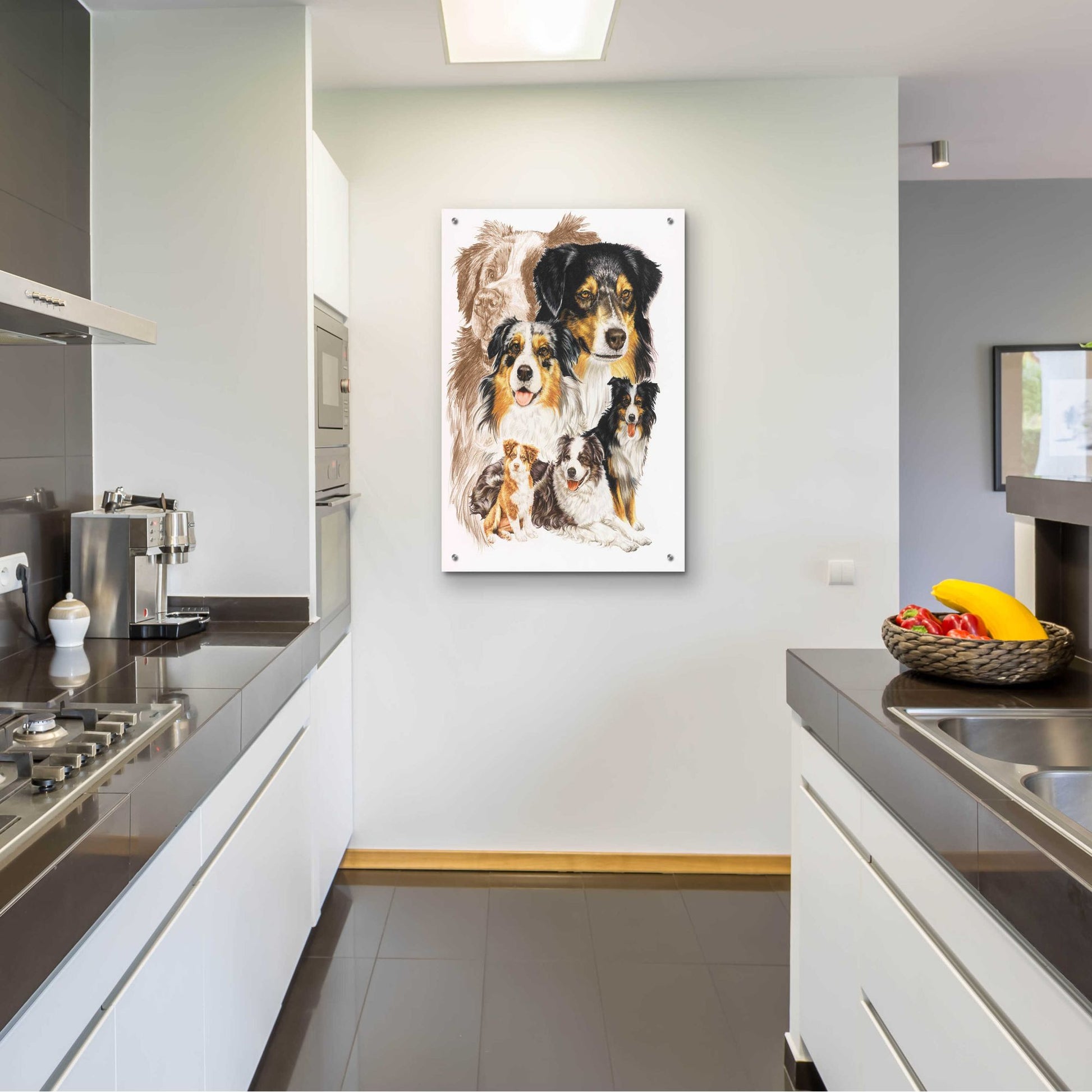 Epic Art 'Australian Shepherds' by Barbara Keith, Acrylic Glass Wall Art,24x36