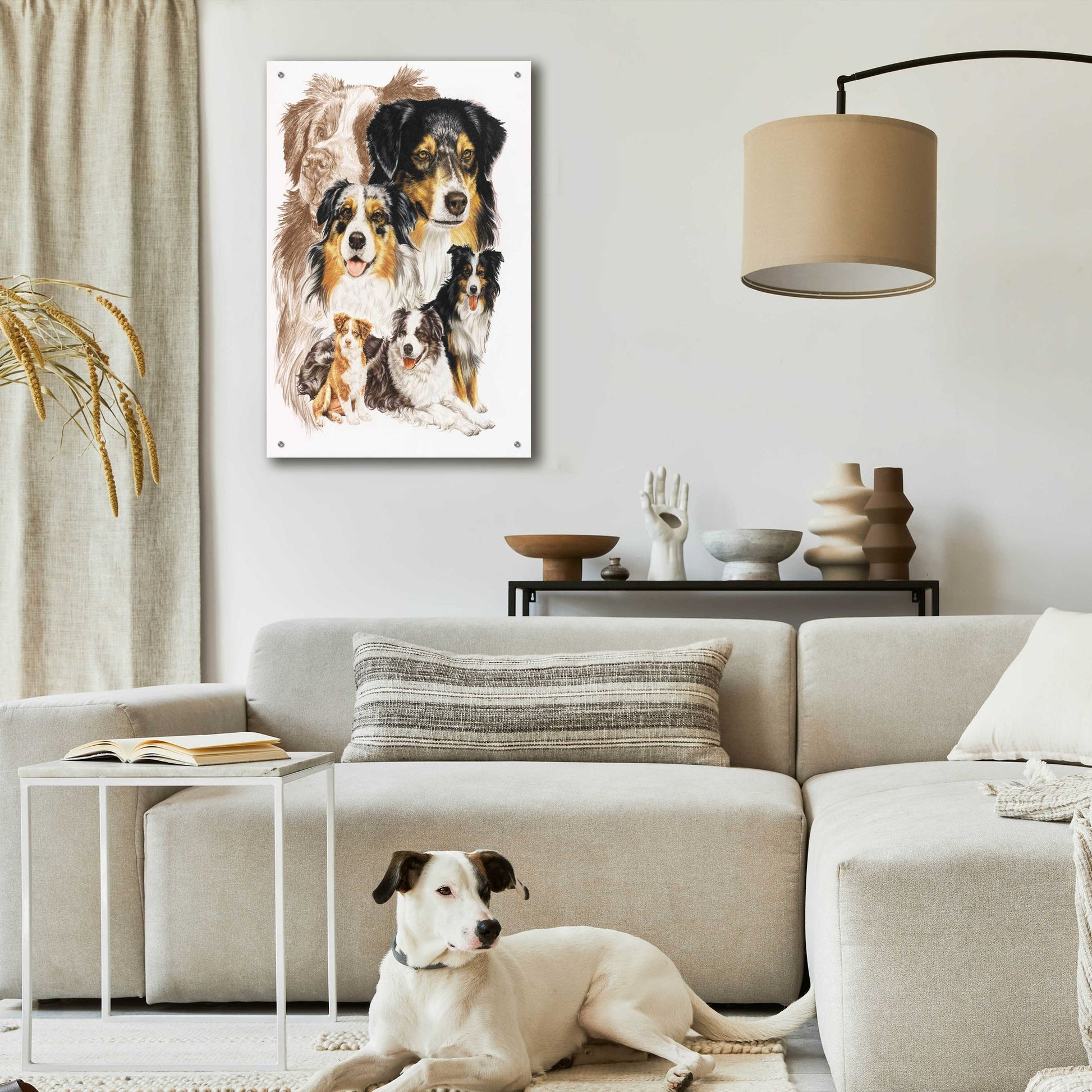 Epic Art 'Australian Shepherds' by Barbara Keith, Acrylic Glass Wall Art,24x36