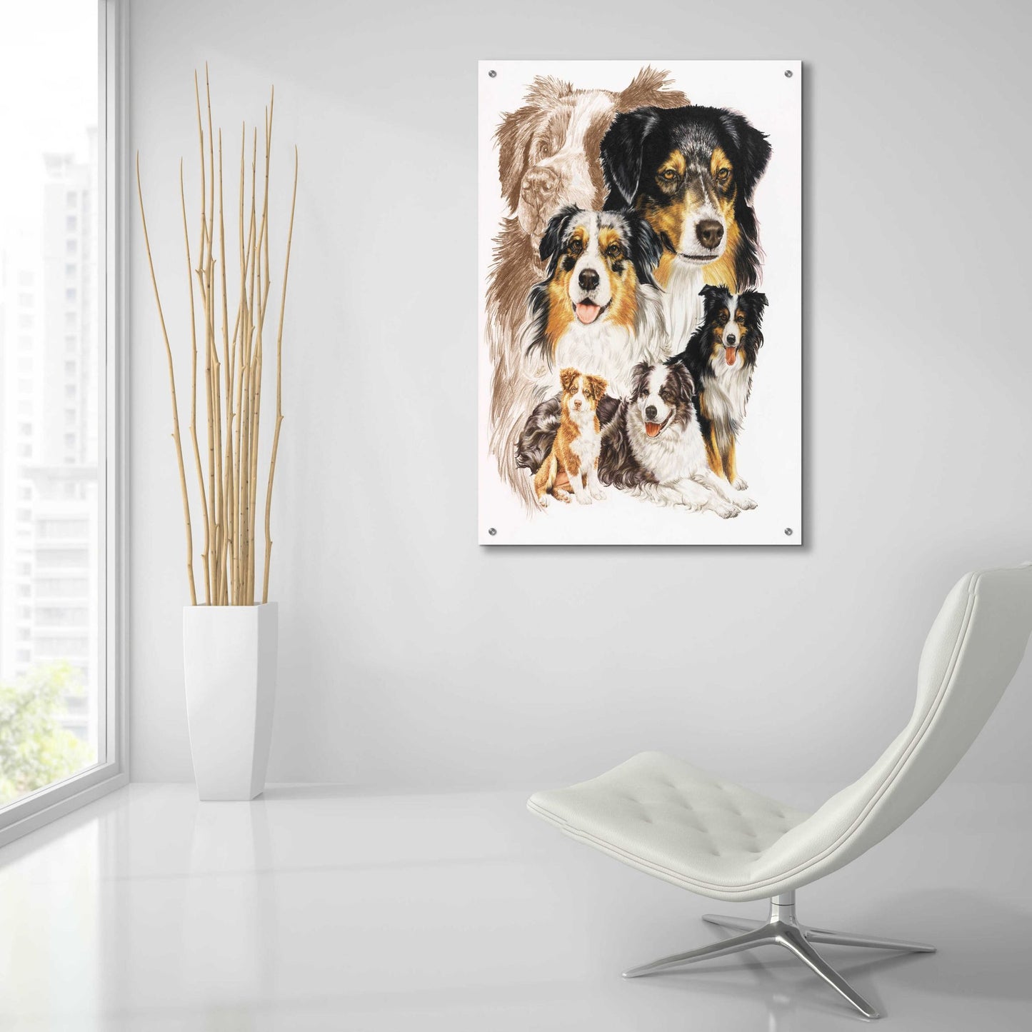 Epic Art 'Australian Shepherds' by Barbara Keith, Acrylic Glass Wall Art,24x36