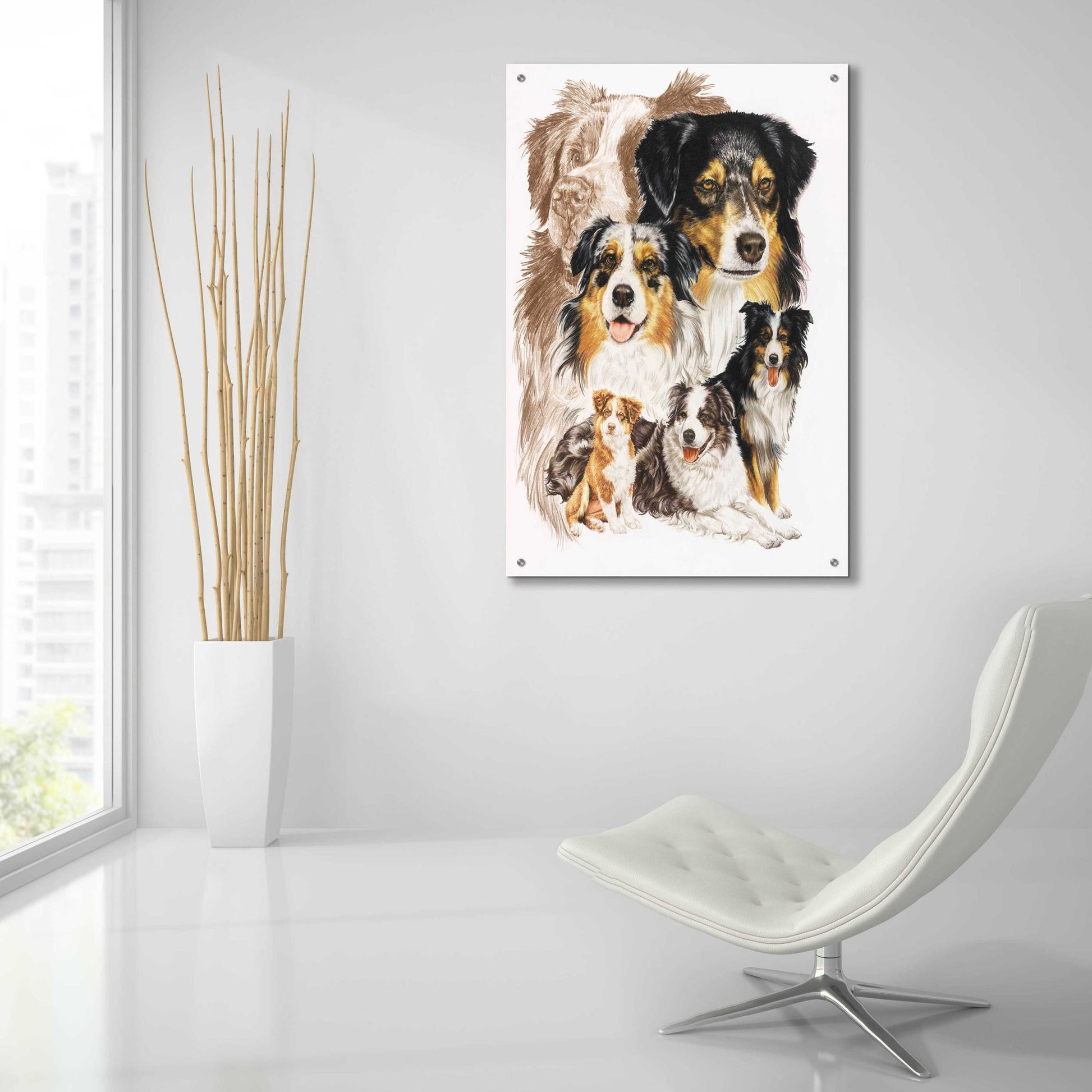 Epic Art 'Australian Shepherds' by Barbara Keith, Acrylic Glass Wall Art,24x36