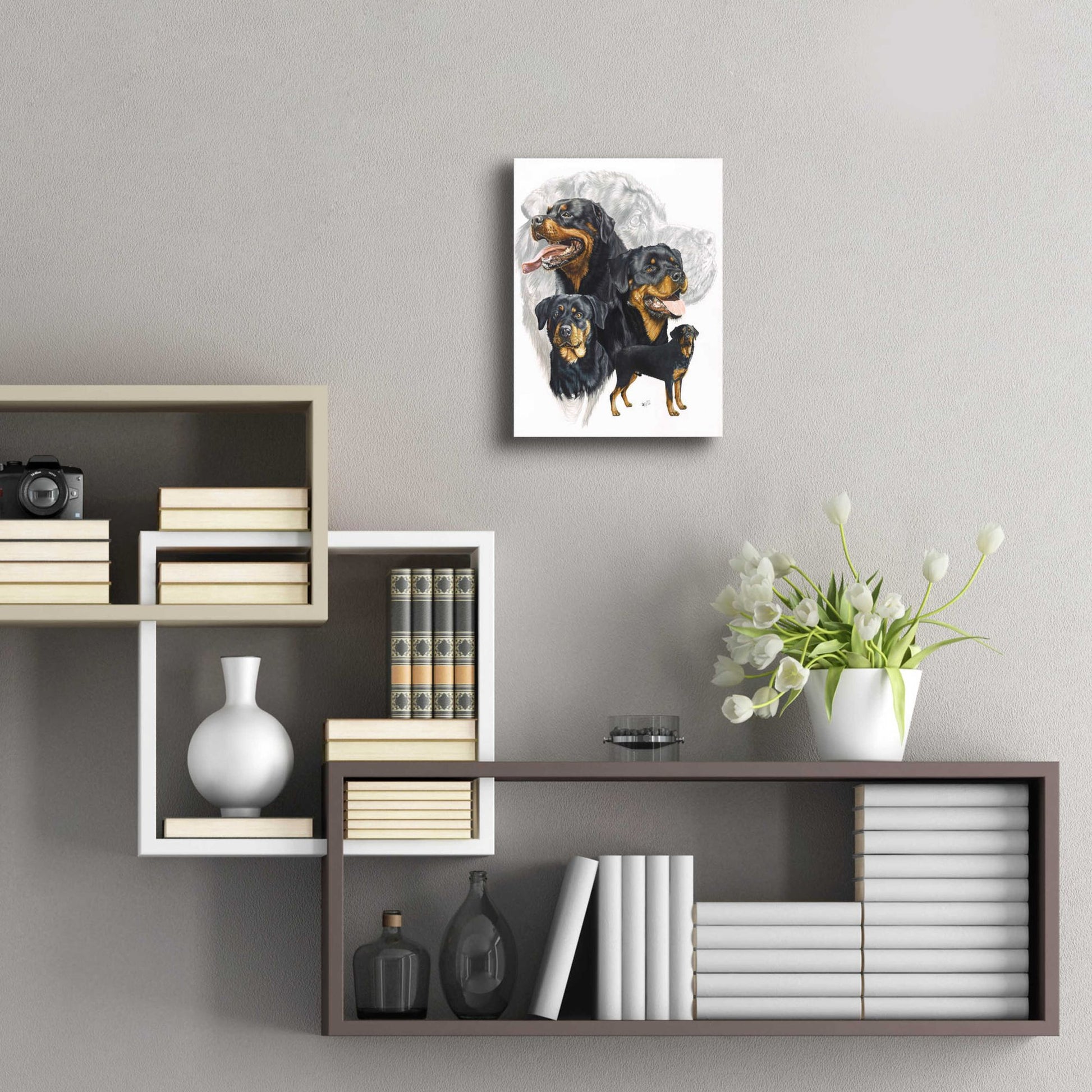 Epic Art 'Rottweiler' by Barbara Keith, Acrylic Glass Wall Art,12x16