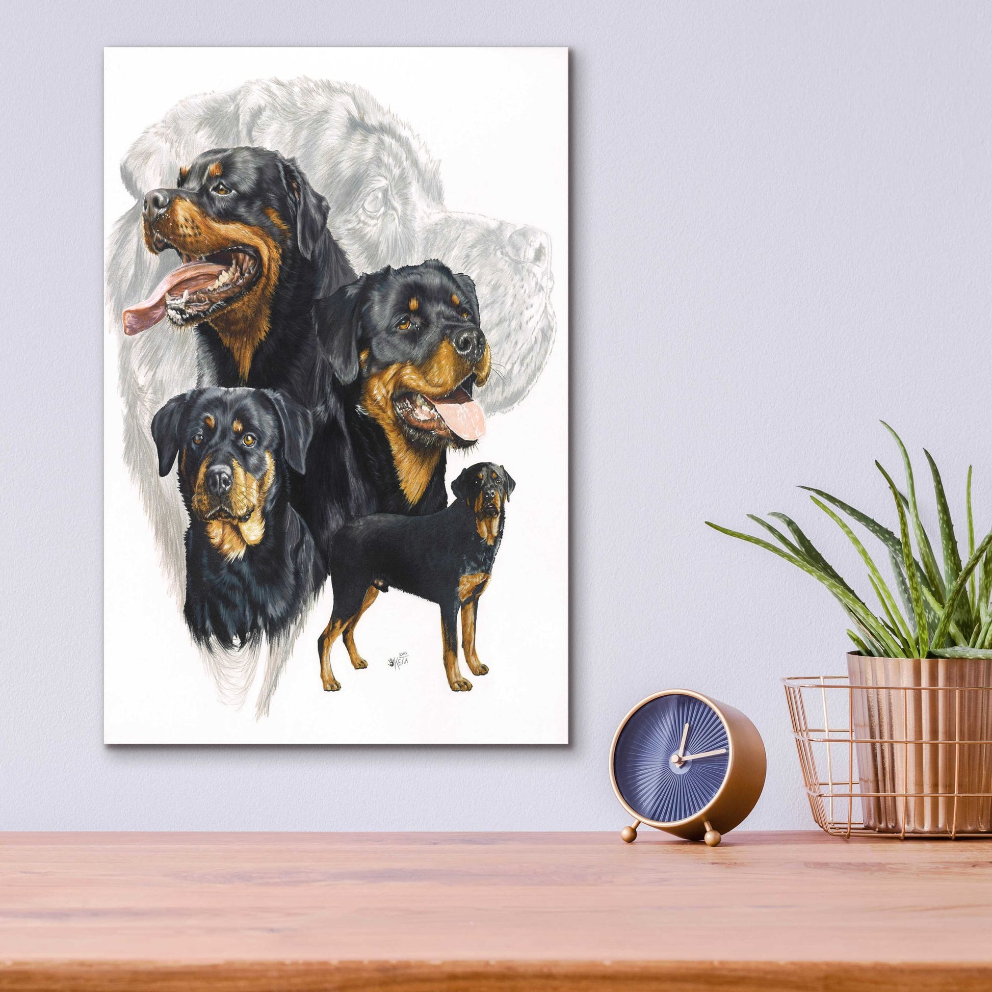 Epic Art 'Rottweiler' by Barbara Keith, Acrylic Glass Wall Art,12x16