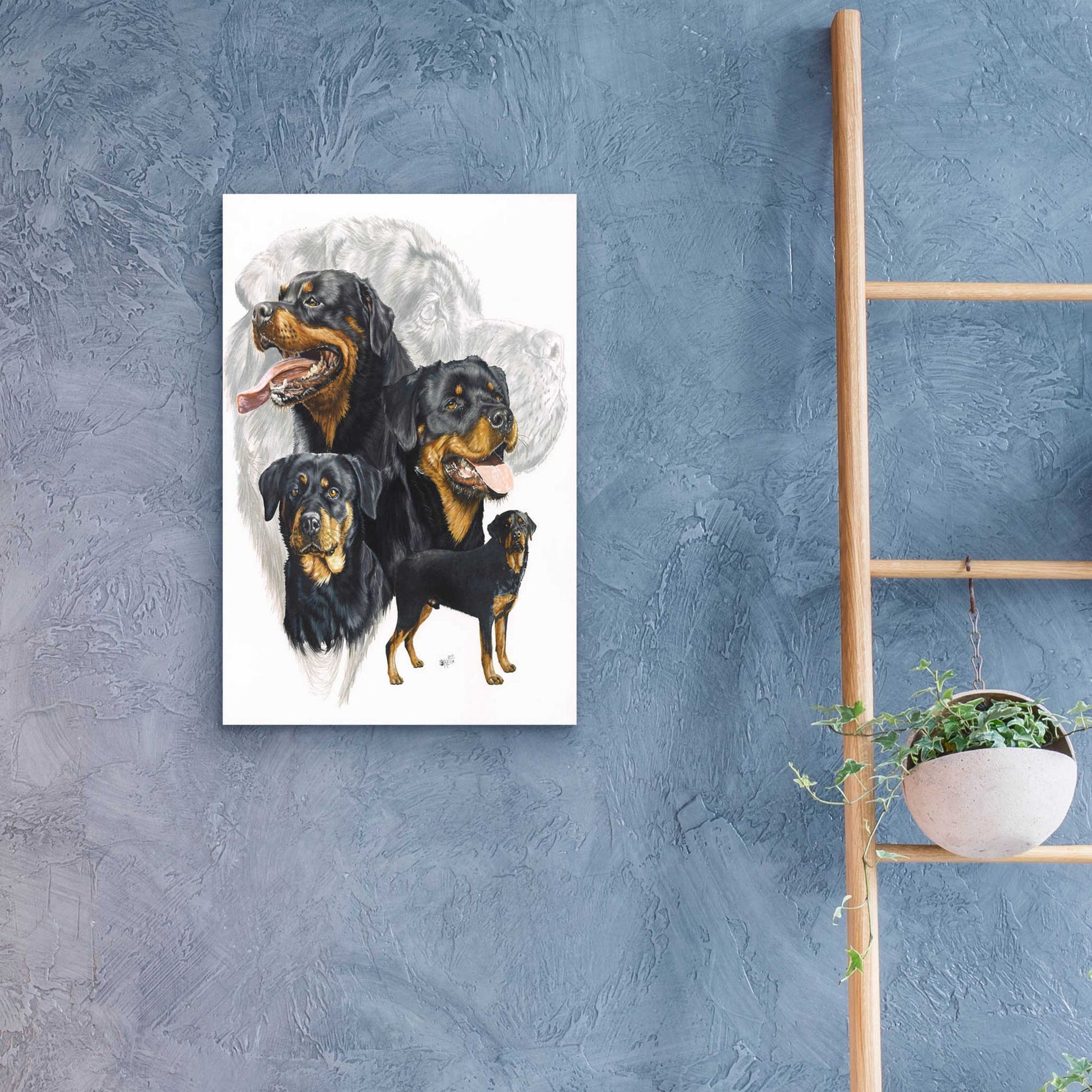 Epic Art 'Rottweiler' by Barbara Keith, Acrylic Glass Wall Art,16x24