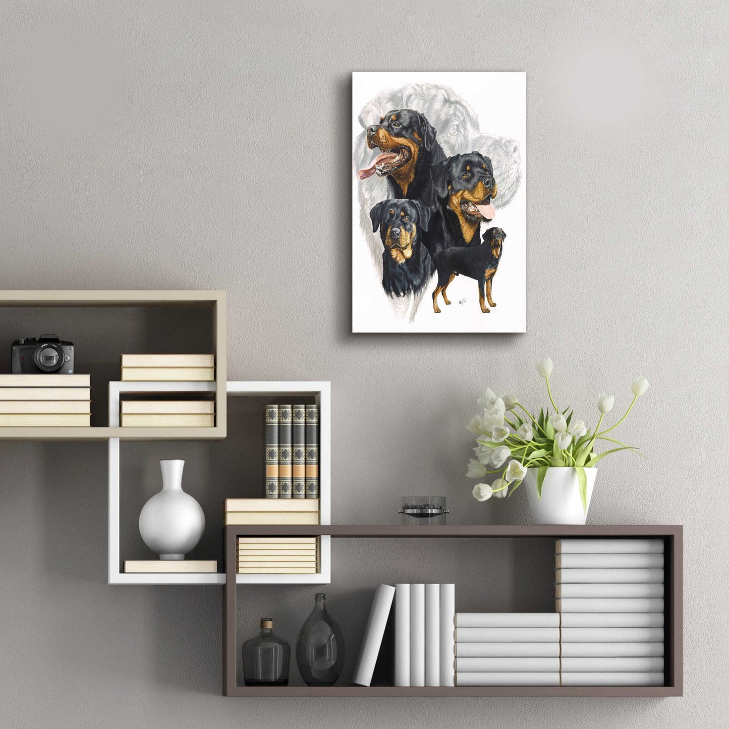 Epic Art 'Rottweiler' by Barbara Keith, Acrylic Glass Wall Art,16x24