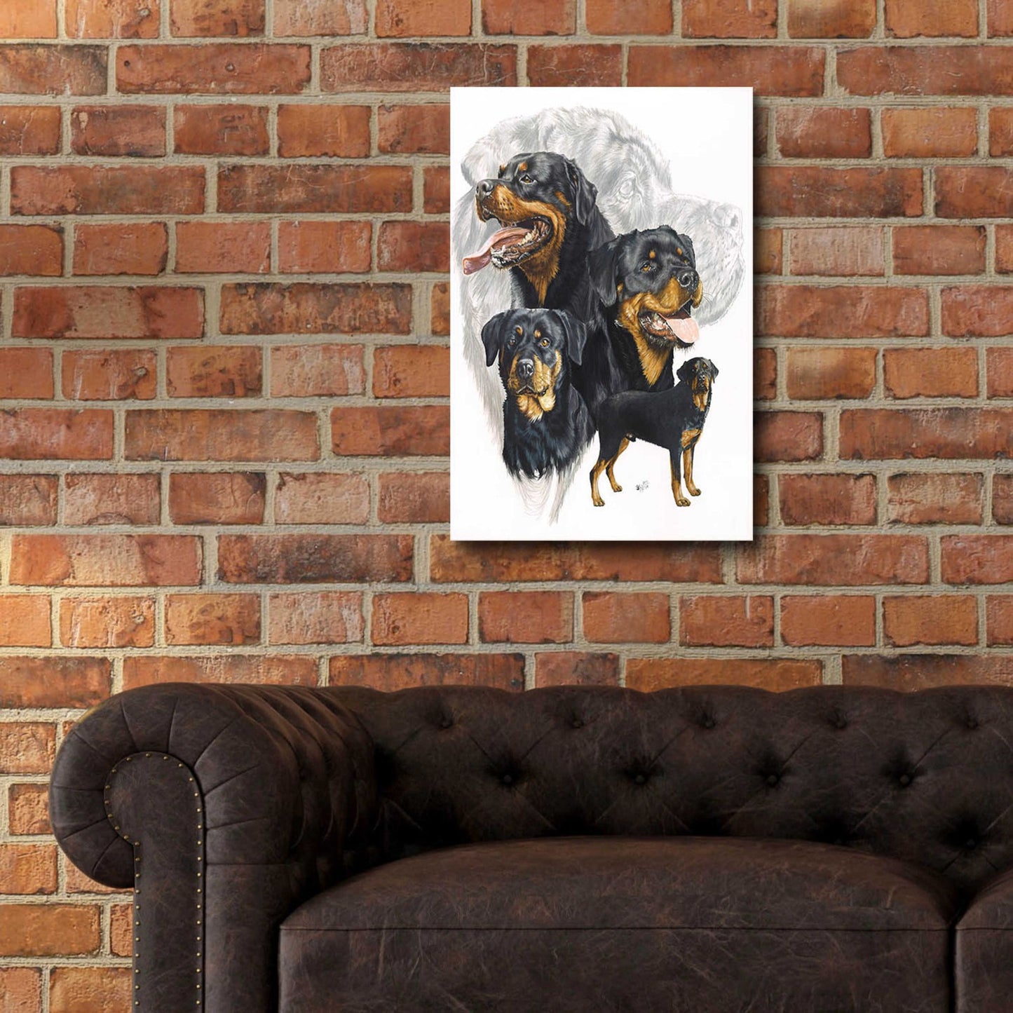 Epic Art 'Rottweiler' by Barbara Keith, Acrylic Glass Wall Art,16x24