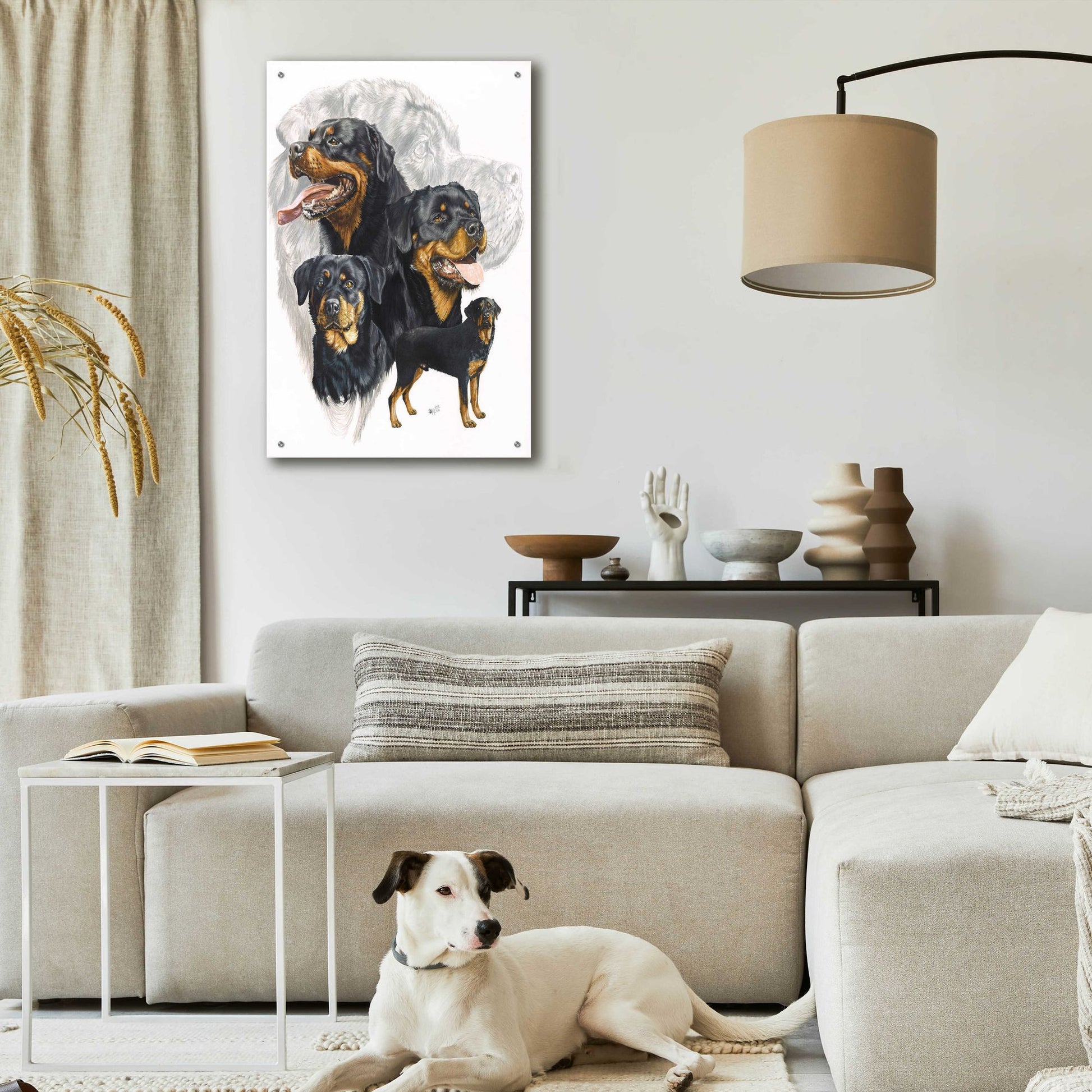 Epic Art 'Rottweiler' by Barbara Keith, Acrylic Glass Wall Art,24x36