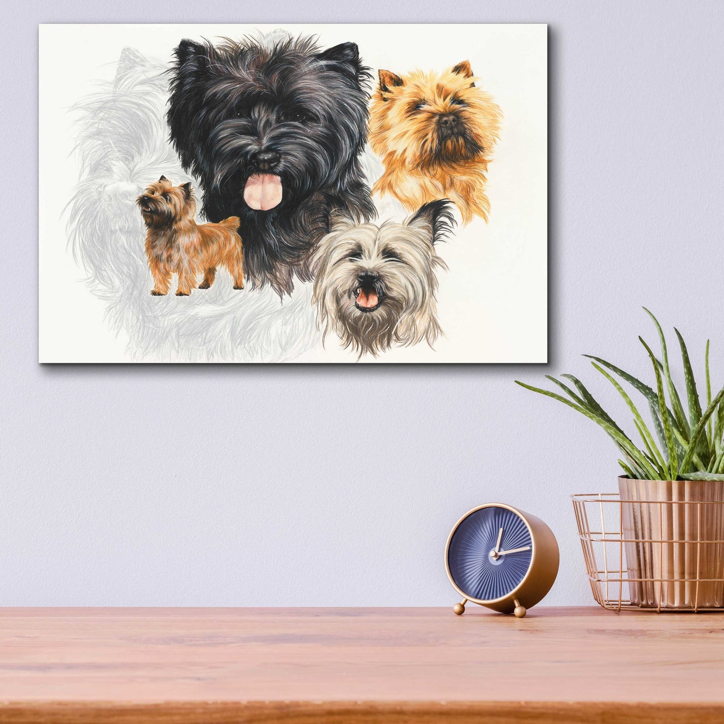 Epic Art 'Cairn Terrier' by Barbara Keith, Acrylic Glass Wall Art,16x12