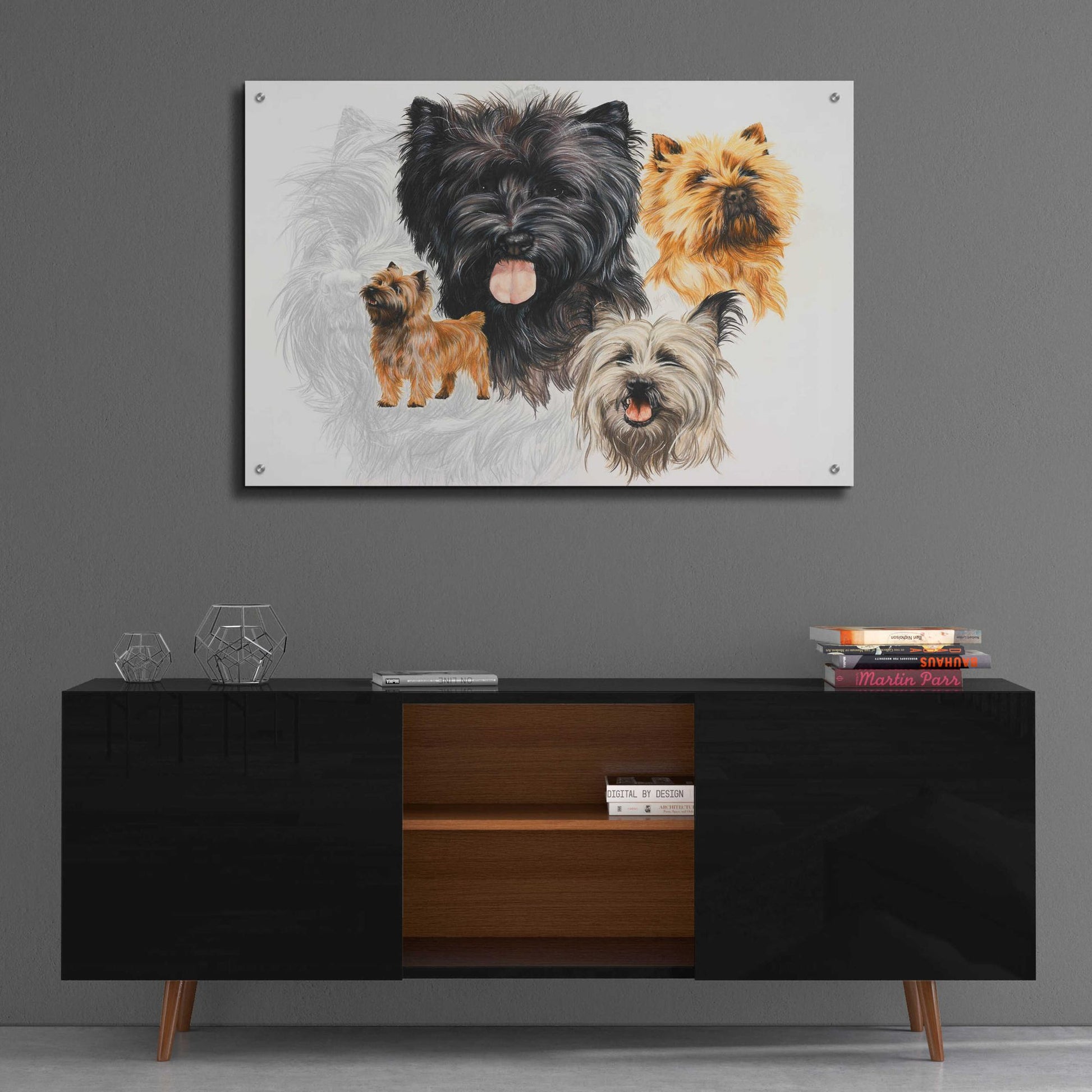 Epic Art 'Cairn Terrier' by Barbara Keith, Acrylic Glass Wall Art,36x24