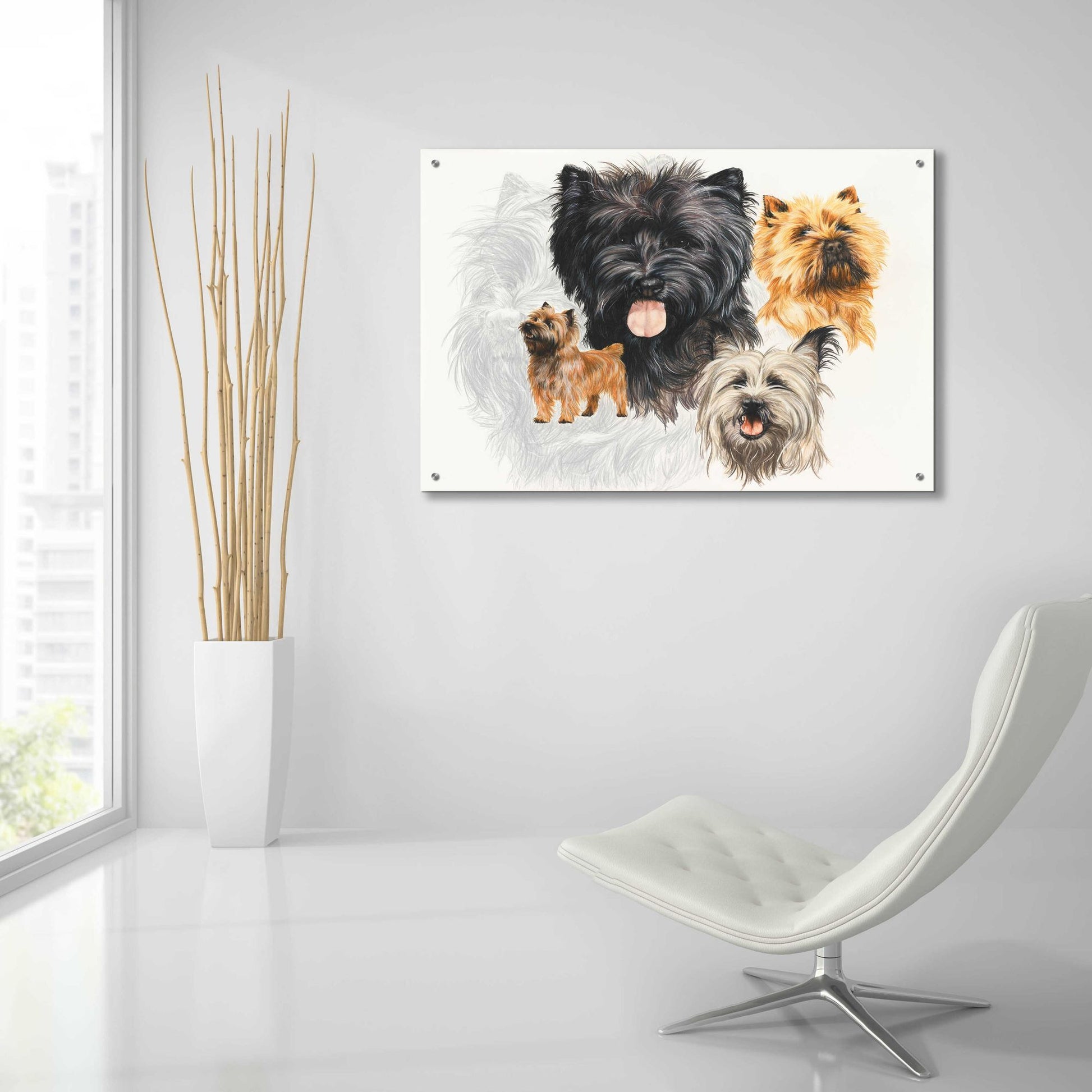 Epic Art 'Cairn Terrier' by Barbara Keith, Acrylic Glass Wall Art,36x24