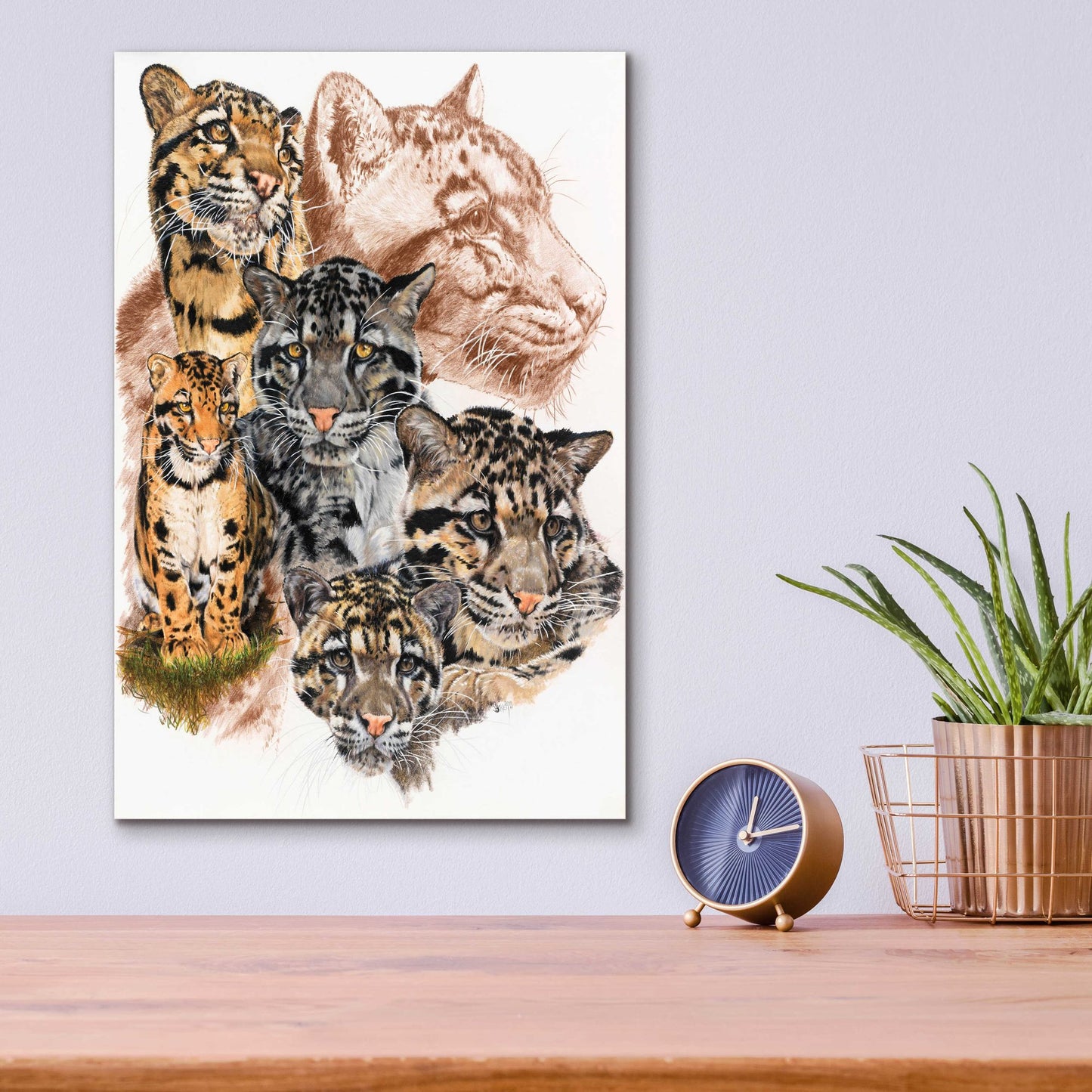 Epic Art 'Clouded Leopard with Ghost Image' by Barbara Keith, Acrylic Glass Wall Art,12x16