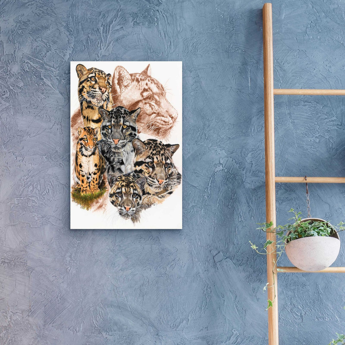 Clouded Leopard with Ghost Image by Barbara Keith - 16x24 acrylic wall art in a room
