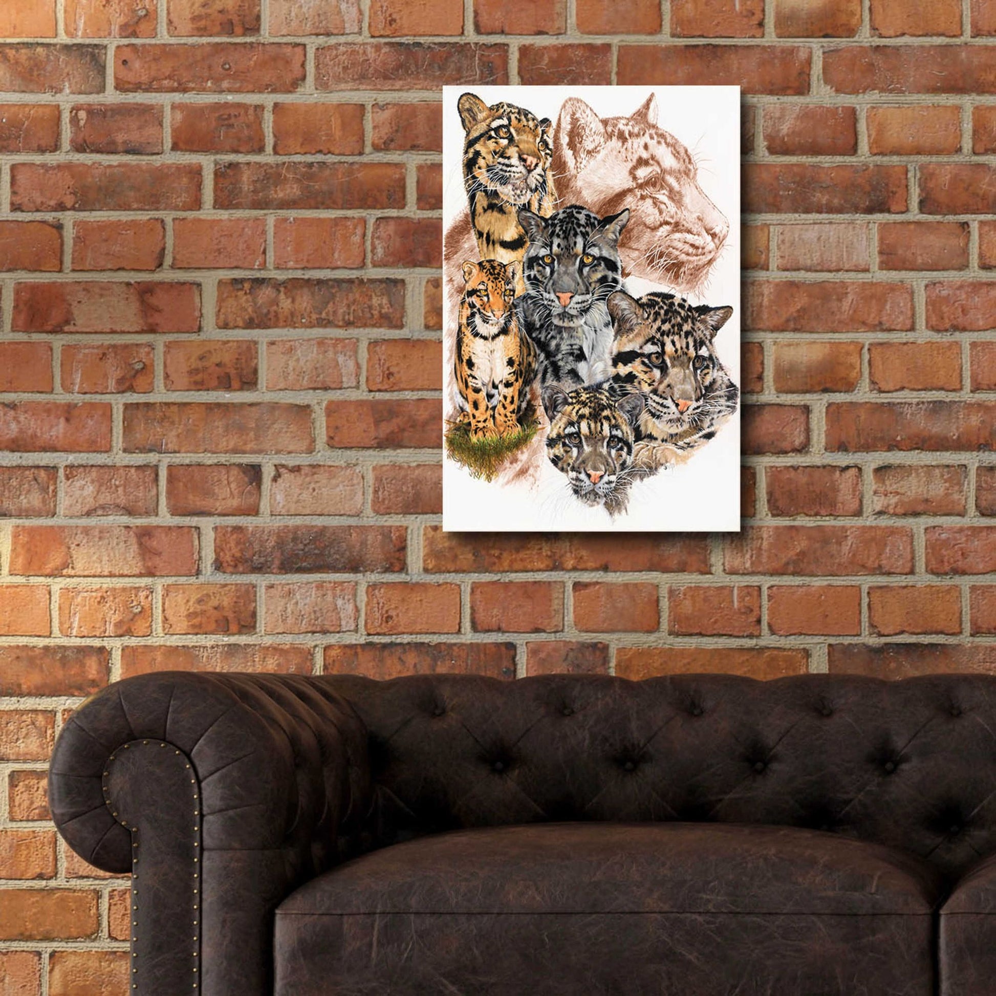 Epic Art 'Clouded Leopard with Ghost Image' by Barbara Keith, Acrylic Glass Wall Art,16x24