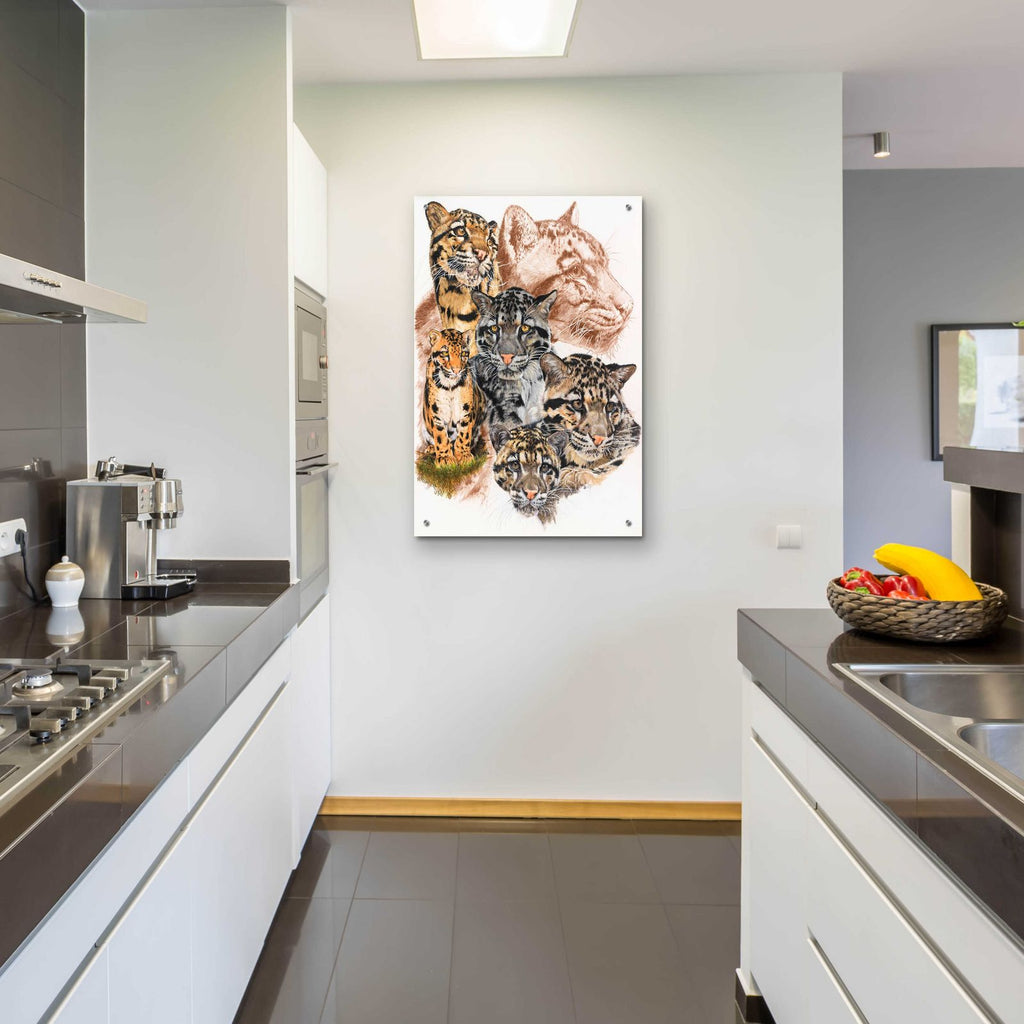 Clouded Leopard with Ghost Image by Barbara Keith - 24x36 acrylic wall art in a room