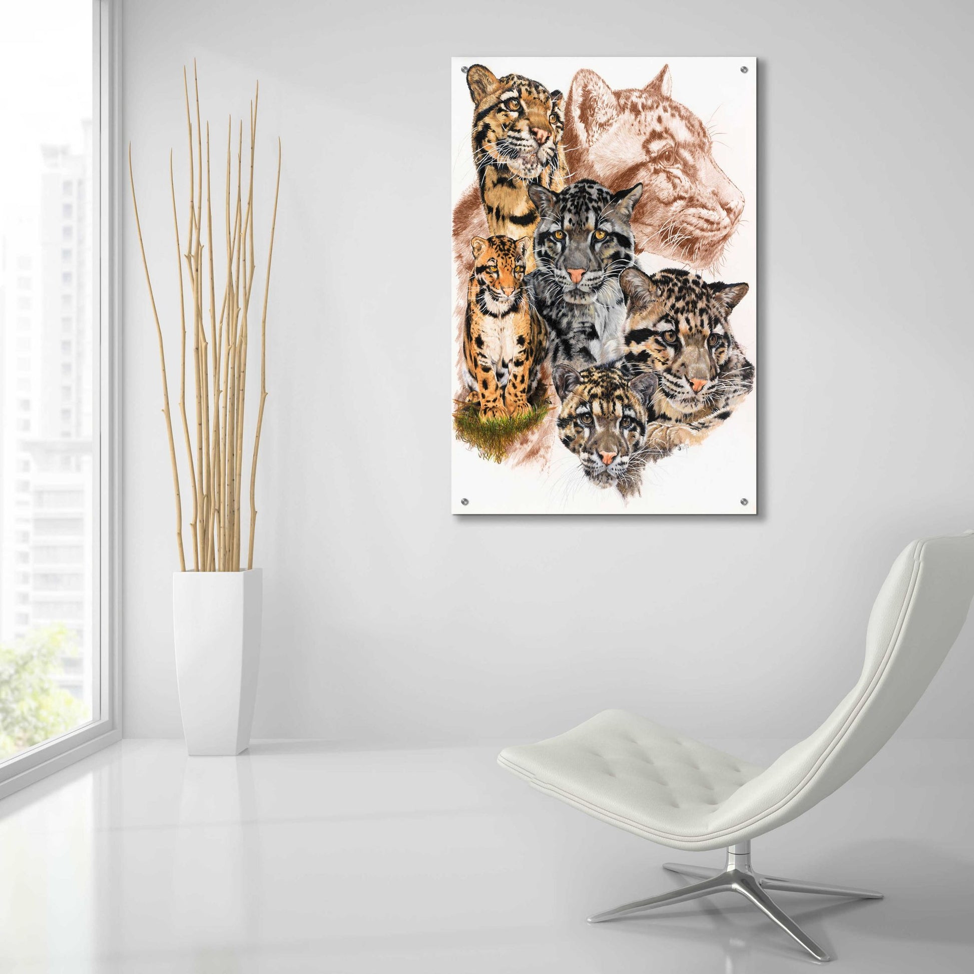 Epic Art 'Clouded Leopard with Ghost Image' by Barbara Keith, Acrylic Glass Wall Art,24x36