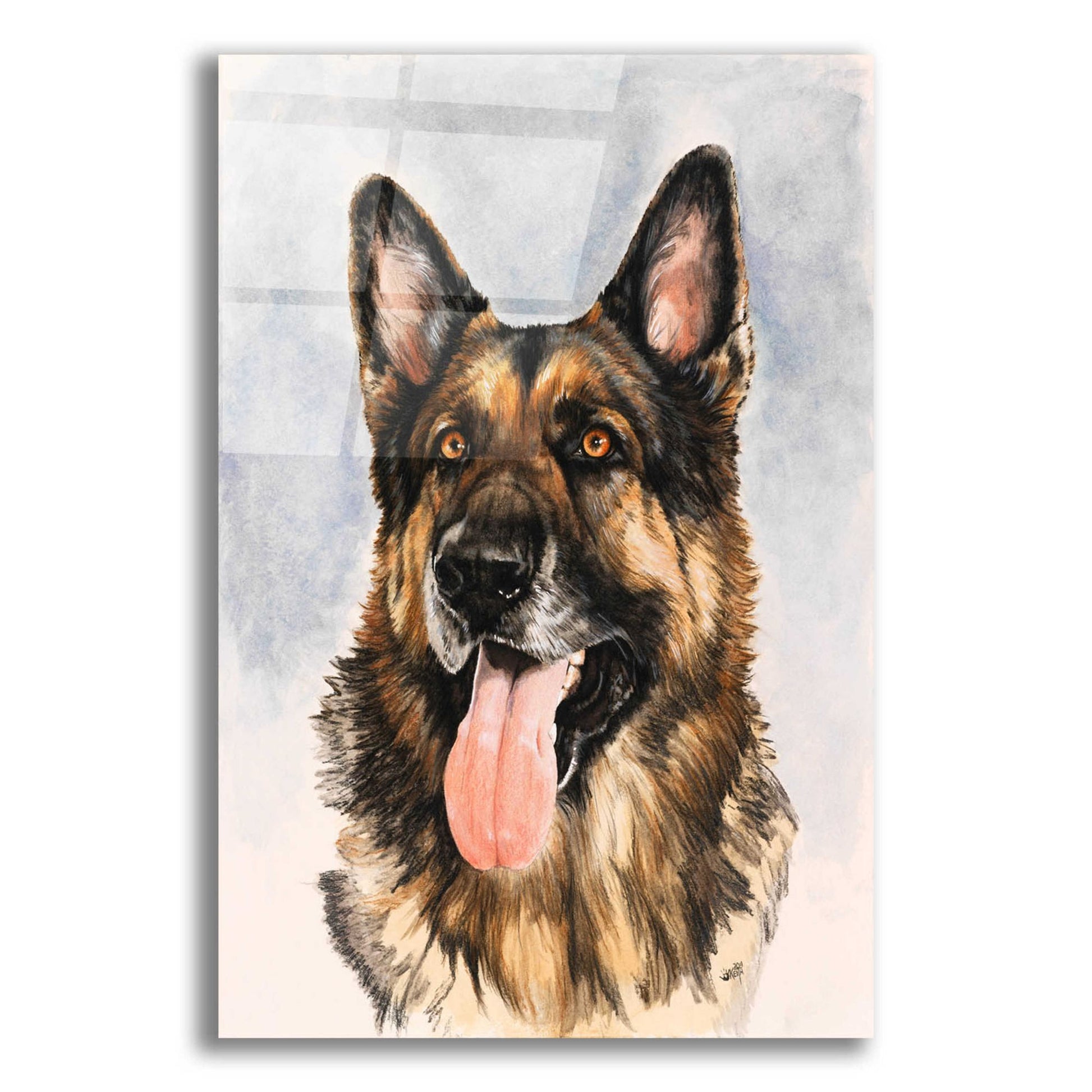 Epic Art 'German Shepherd 2' by Barbara Keith, Acrylic Glass Wall Art,12x16