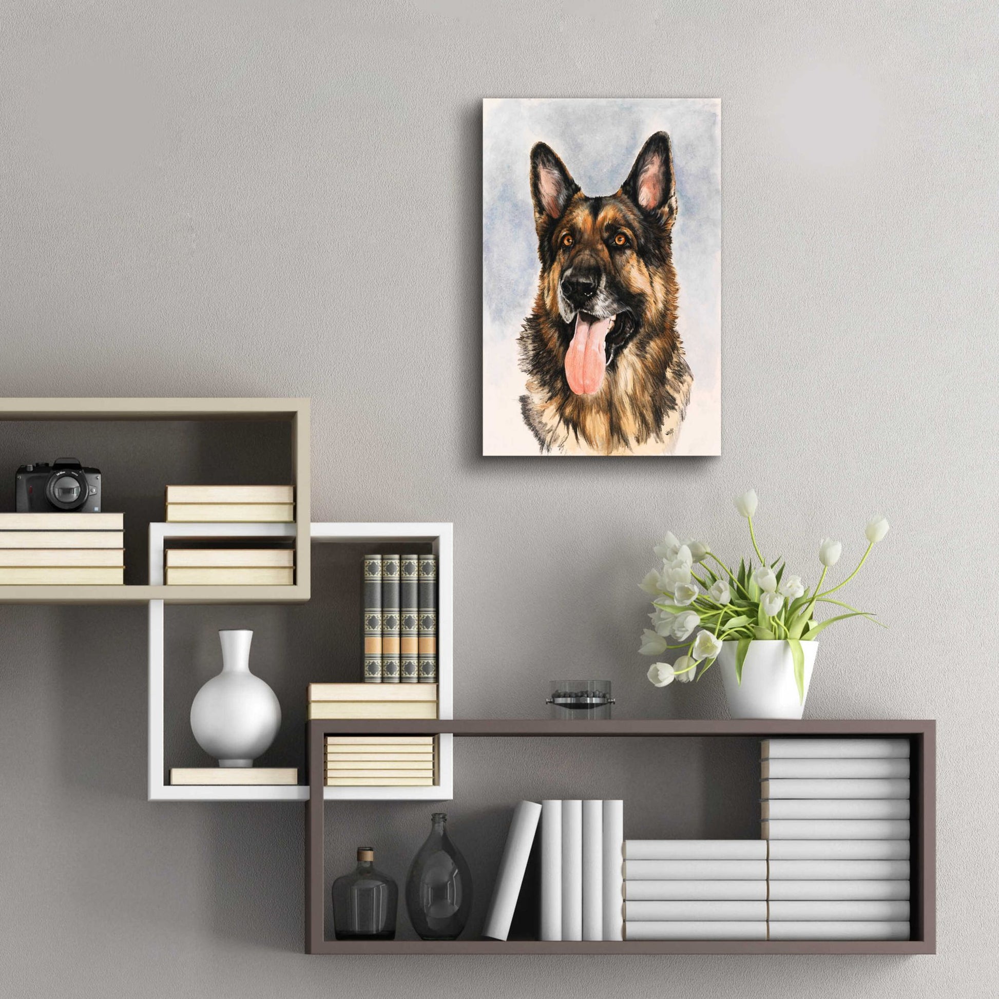 Epic Art 'German Shepherd 2' by Barbara Keith, Acrylic Glass Wall Art,16x24