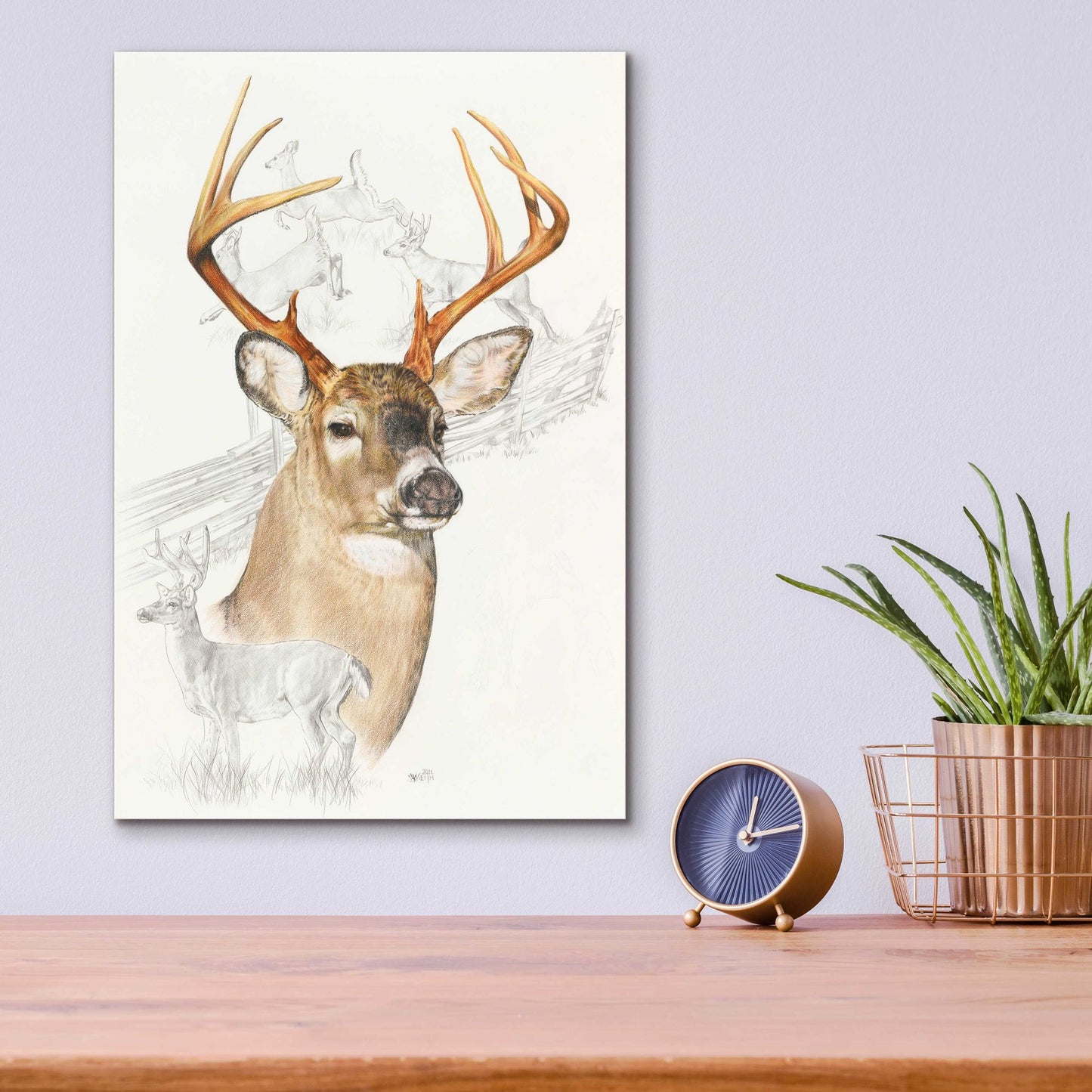 Epic Art 'White Tailed Deer' by Barbara Keith, Acrylic Glass Wall Art,12x16