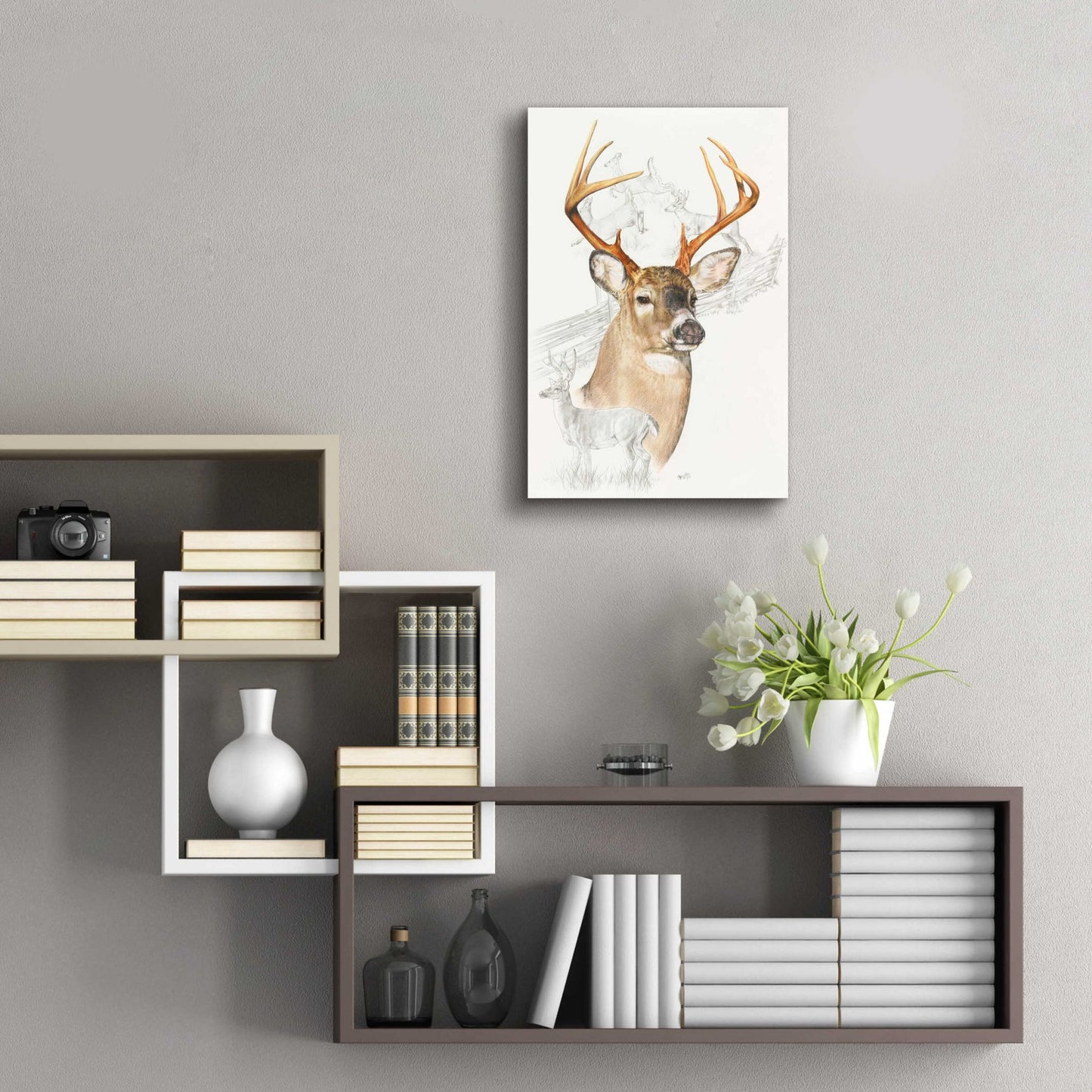 Epic Art 'White Tailed Deer' by Barbara Keith, Acrylic Glass Wall Art,16x24