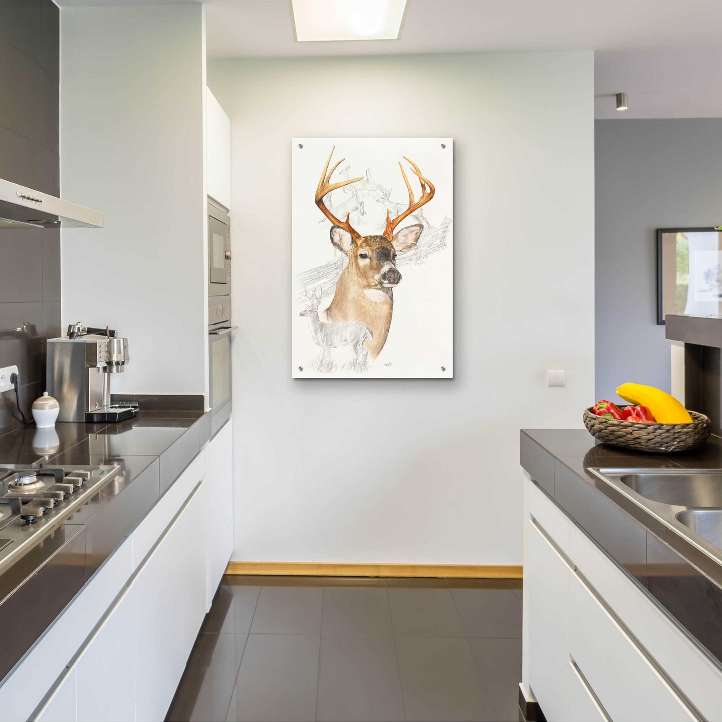 Epic Art 'White Tailed Deer' by Barbara Keith, Acrylic Glass Wall Art,24x36