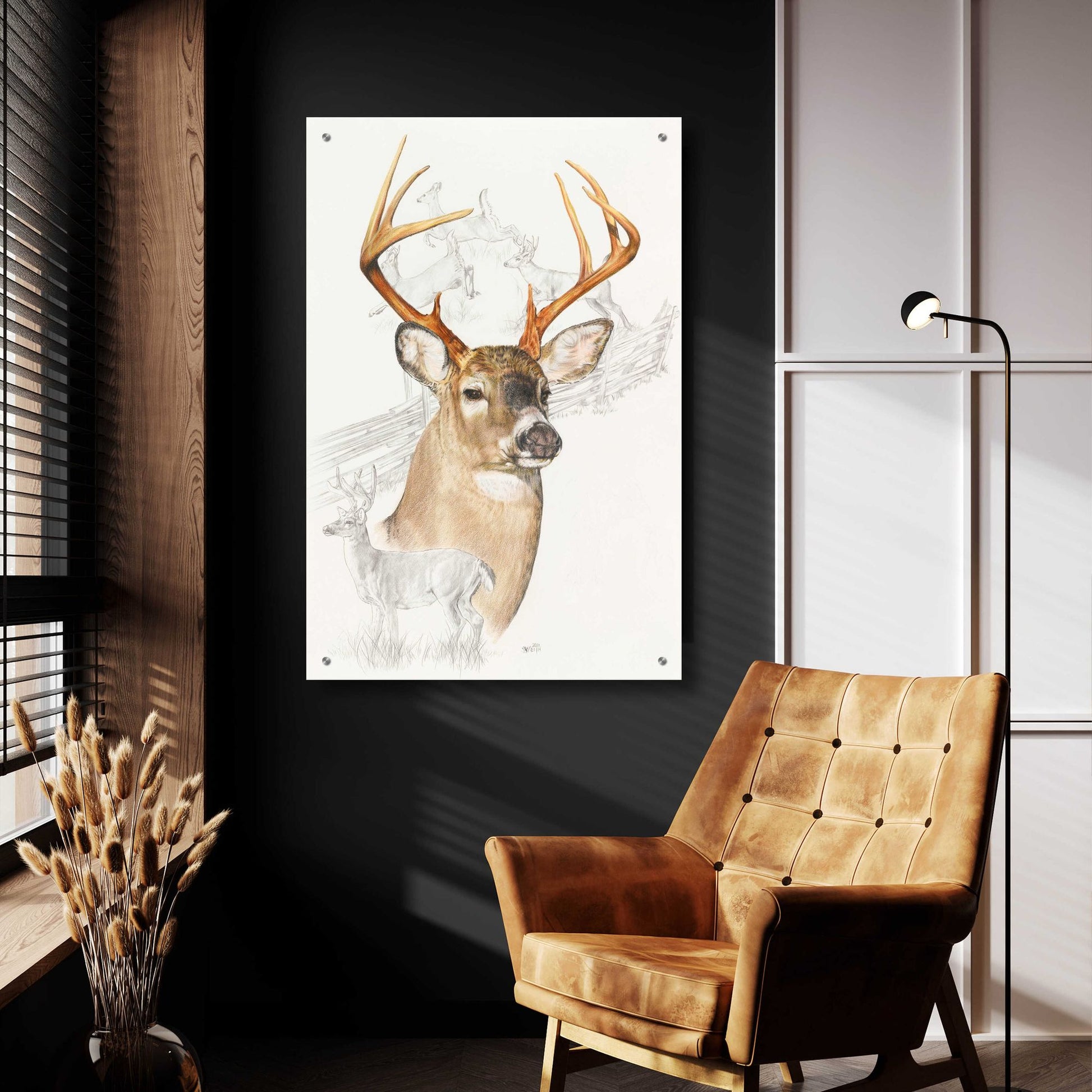 Epic Art 'White Tailed Deer' by Barbara Keith, Acrylic Glass Wall Art,24x36