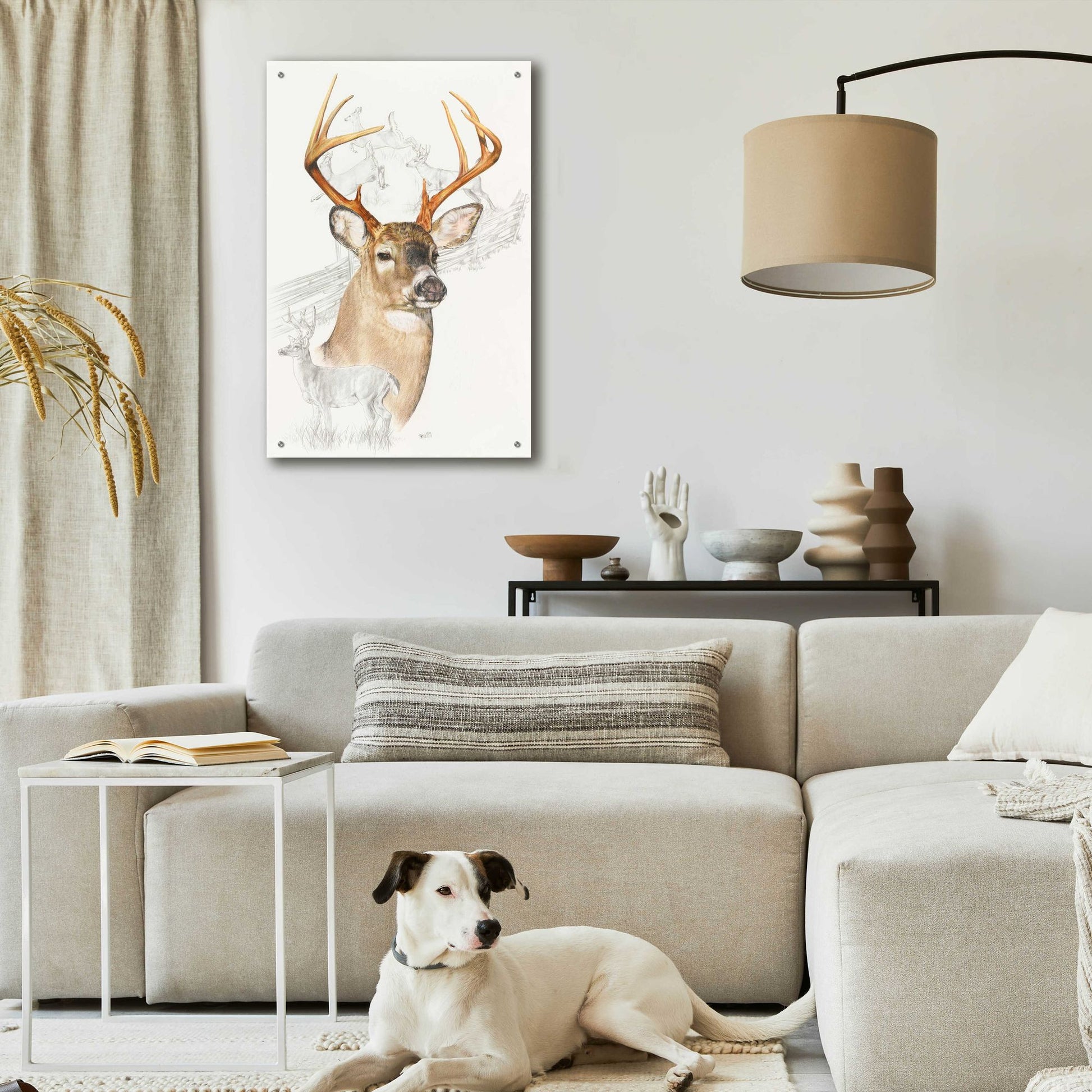 Epic Art 'White Tailed Deer' by Barbara Keith, Acrylic Glass Wall Art,24x36