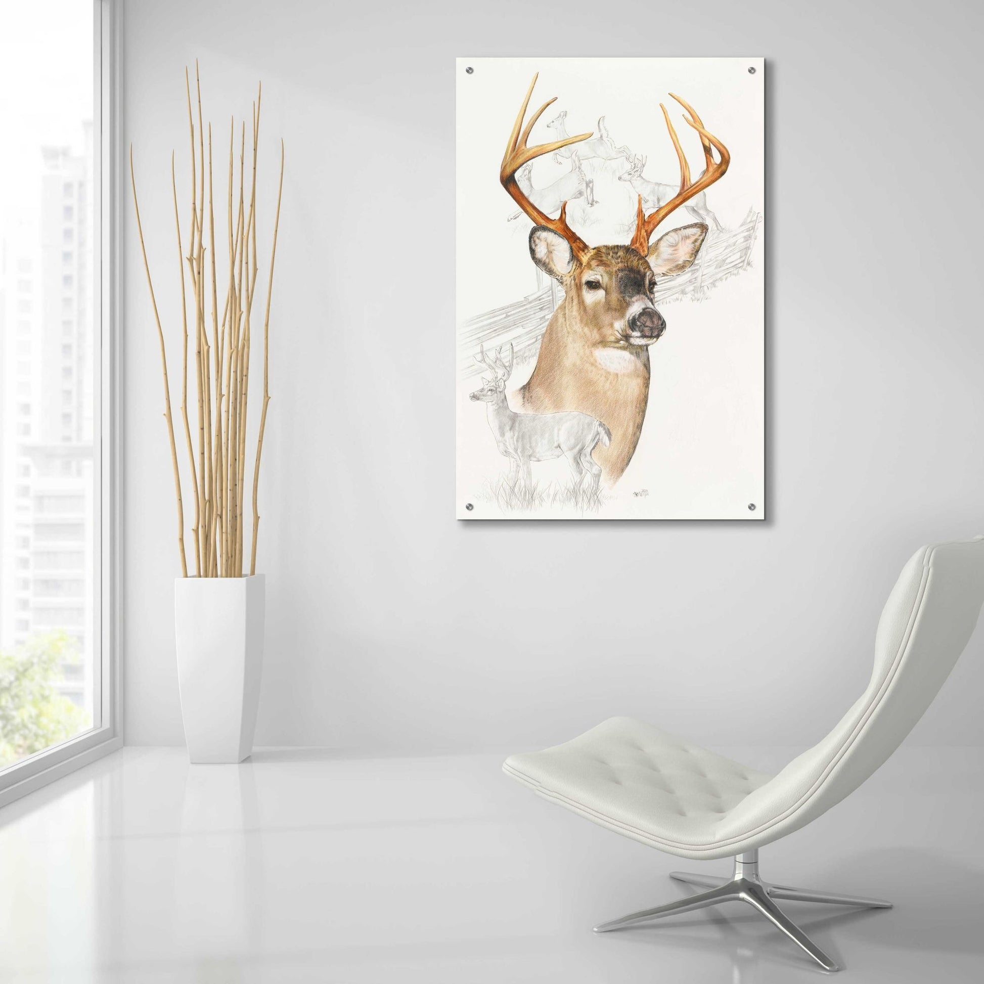 Epic Art 'White Tailed Deer' by Barbara Keith, Acrylic Glass Wall Art,24x36