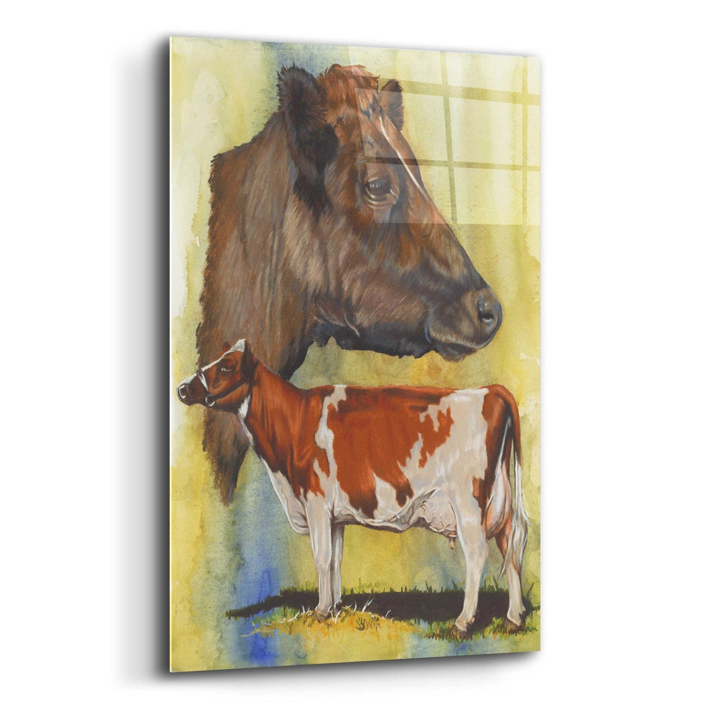 Epic Art 'Ayrshire Cows' by Barbara Keith, Acrylic Glass Wall Art,12x16