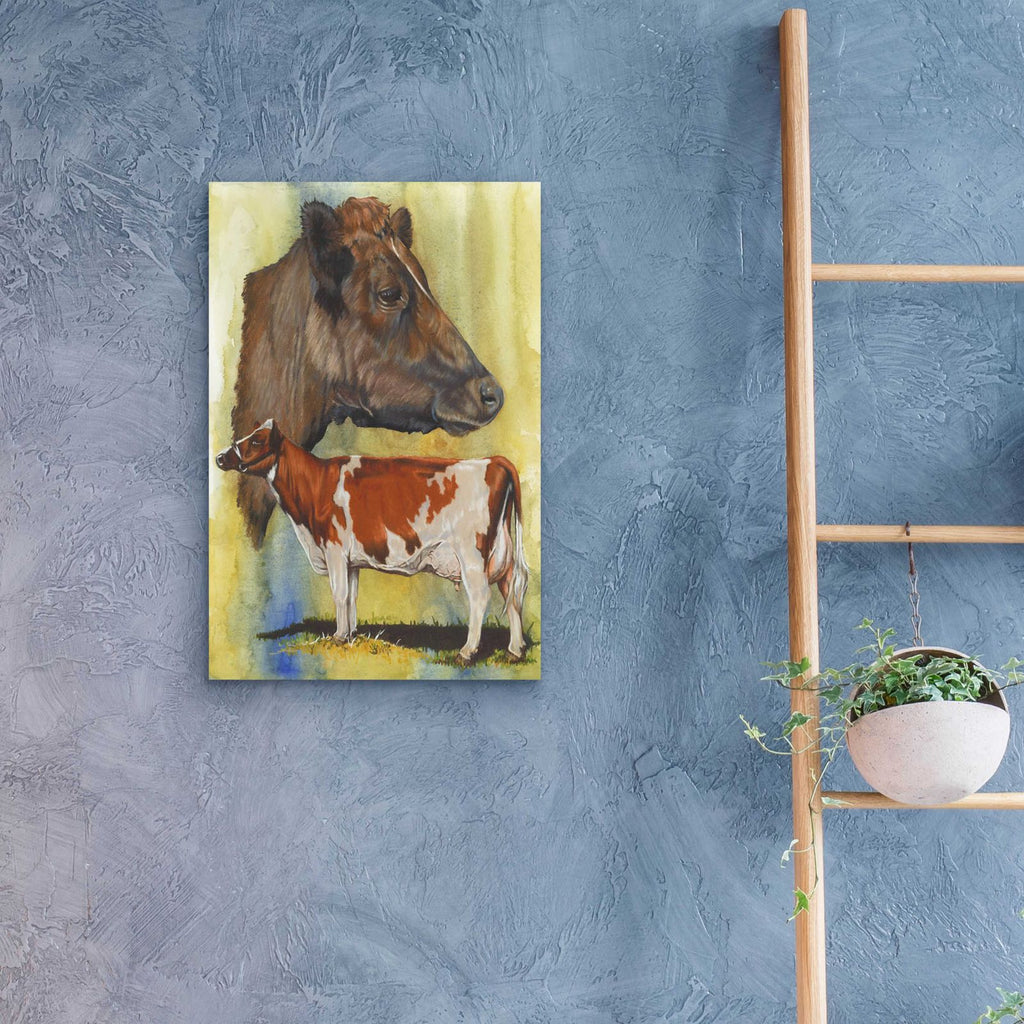 Ayrshire Cows by Barbara Keith - 16x24 acrylic wall art in a room