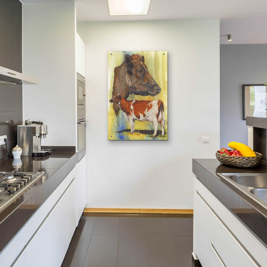 Ayrshire Cows by Barbara Keith - 24x36 acrylic wall art in a room