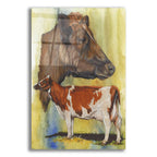 Ayrshire Cows by Barbara Keith acrylic glass wall art