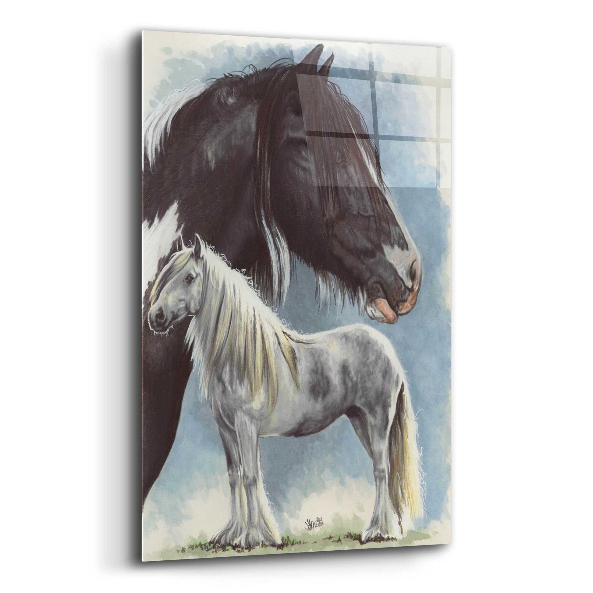 Epic Art 'Gypsy Cob' by Barbara Keith, Acrylic Glass Wall Art,12x16