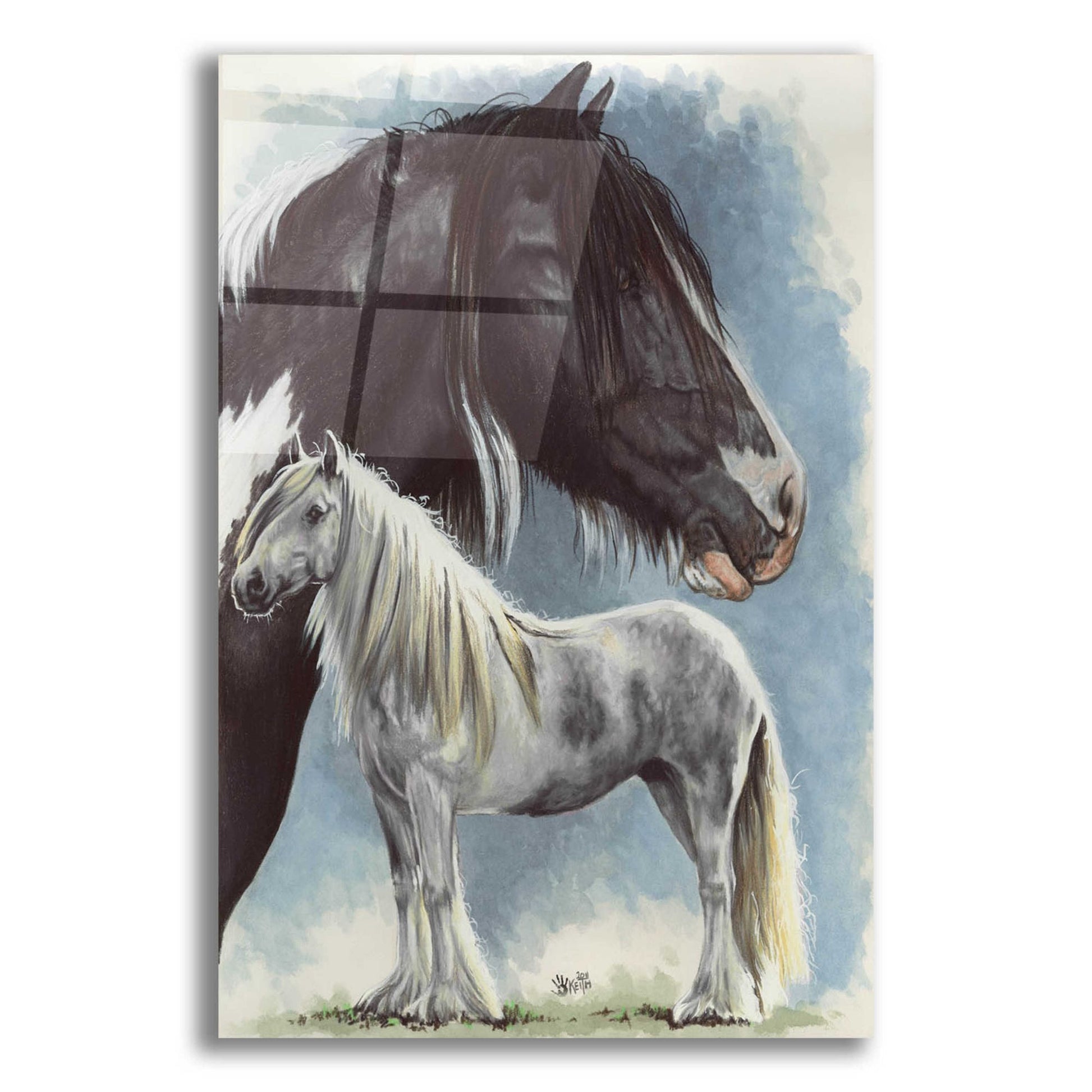 Epic Art 'Gypsy Cob' by Barbara Keith, Acrylic Glass Wall Art,12x16