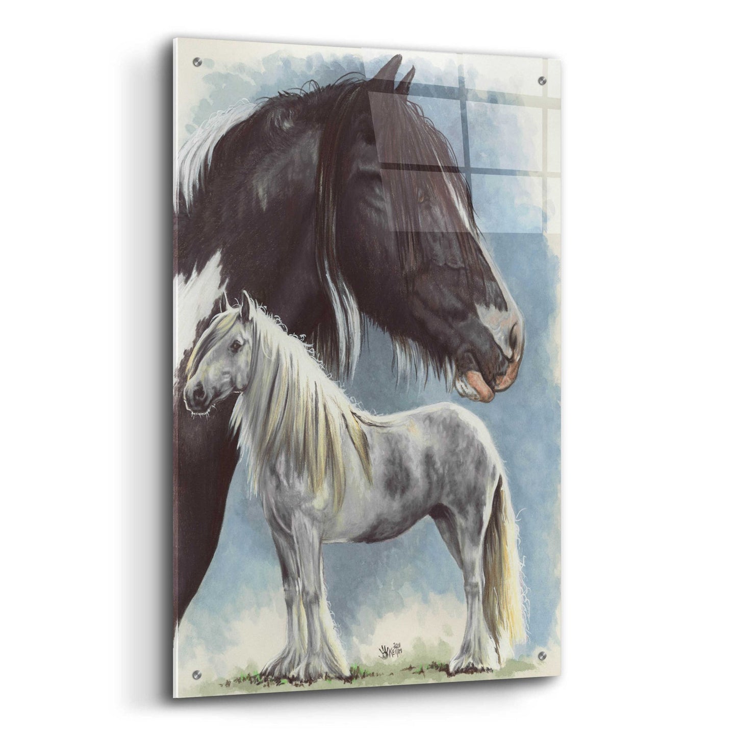 Epic Art 'Gypsy Cob' by Barbara Keith, Acrylic Glass Wall Art,24x36