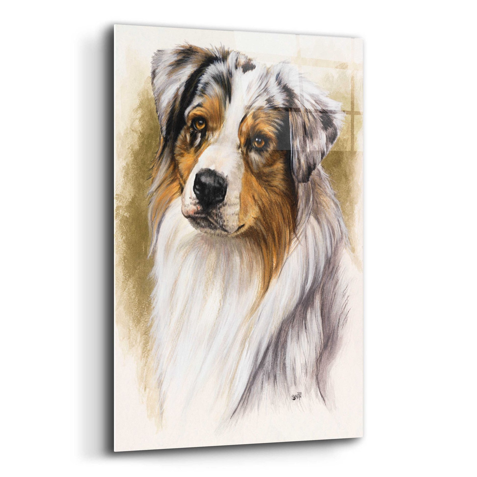 Epic Art 'Australian Shepherd' by Barbara Keith, Acrylic Glass Wall Art,12x16