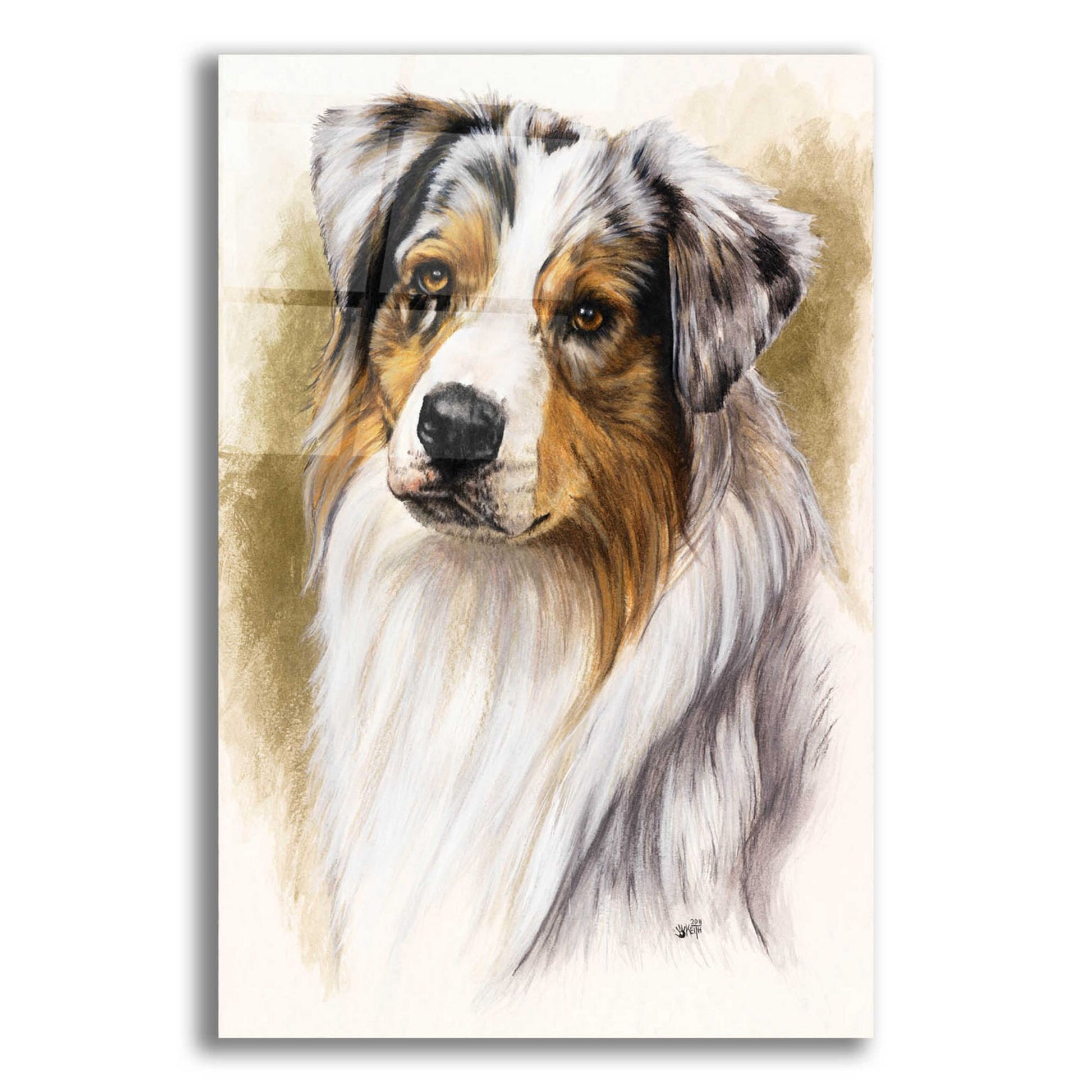 Epic Art 'Australian Shepherd' by Barbara Keith, Acrylic Glass Wall Art,12x16